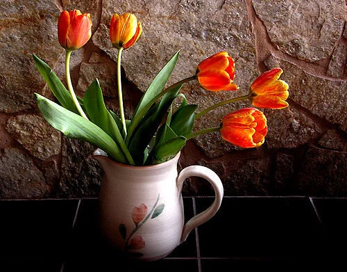 Tulips for the vase