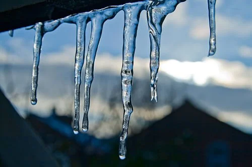 The upside to winter's Big Chill