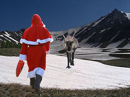 In search of the real Santa — Valerie's Garden Diary