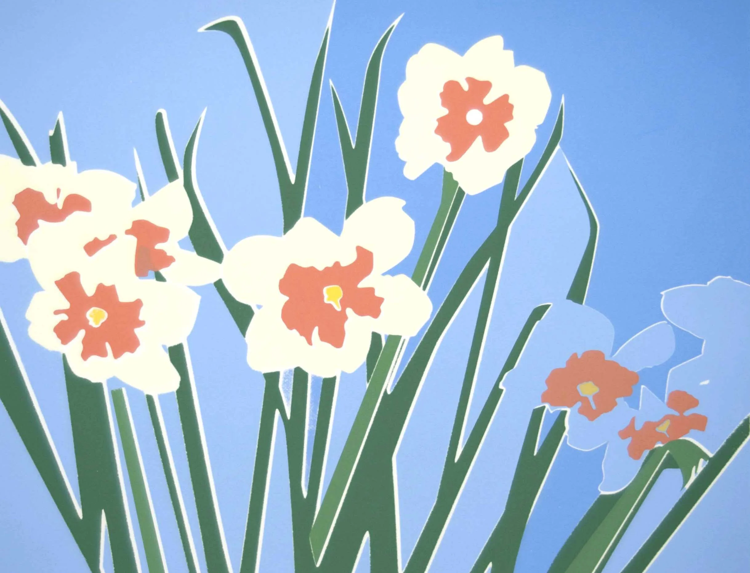 Dances With Daffodils