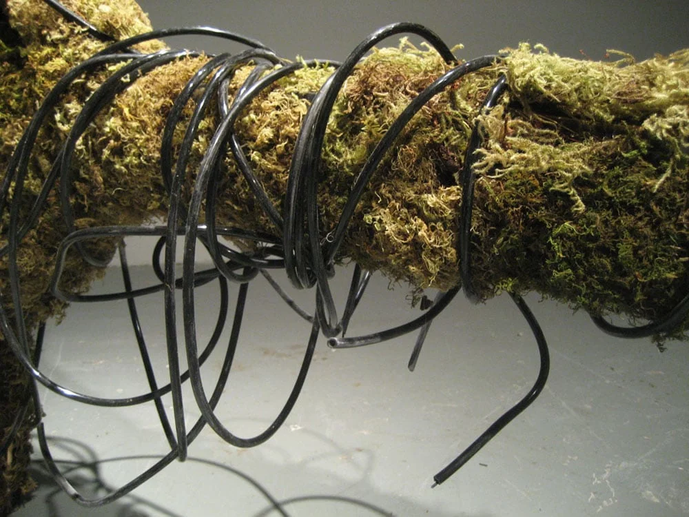 01_SmithC_detail.jpg