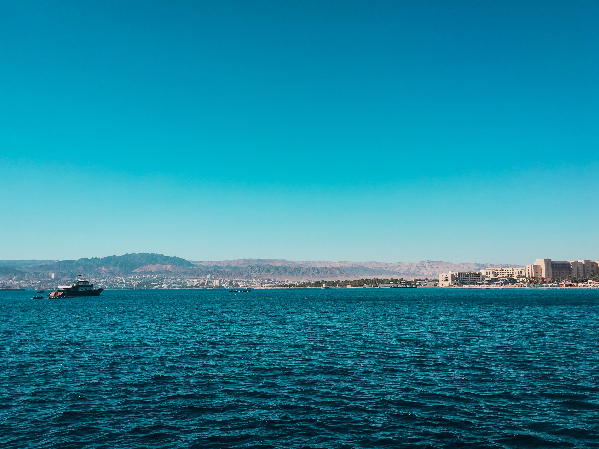 IMG_8513.jpg
