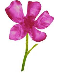 logo flower only.png