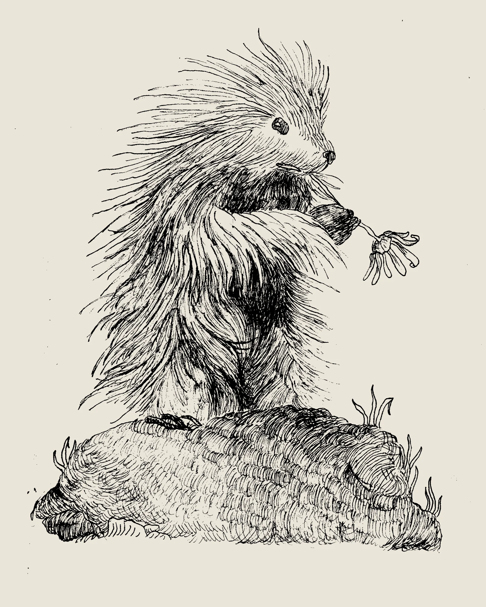porcupine.jpg