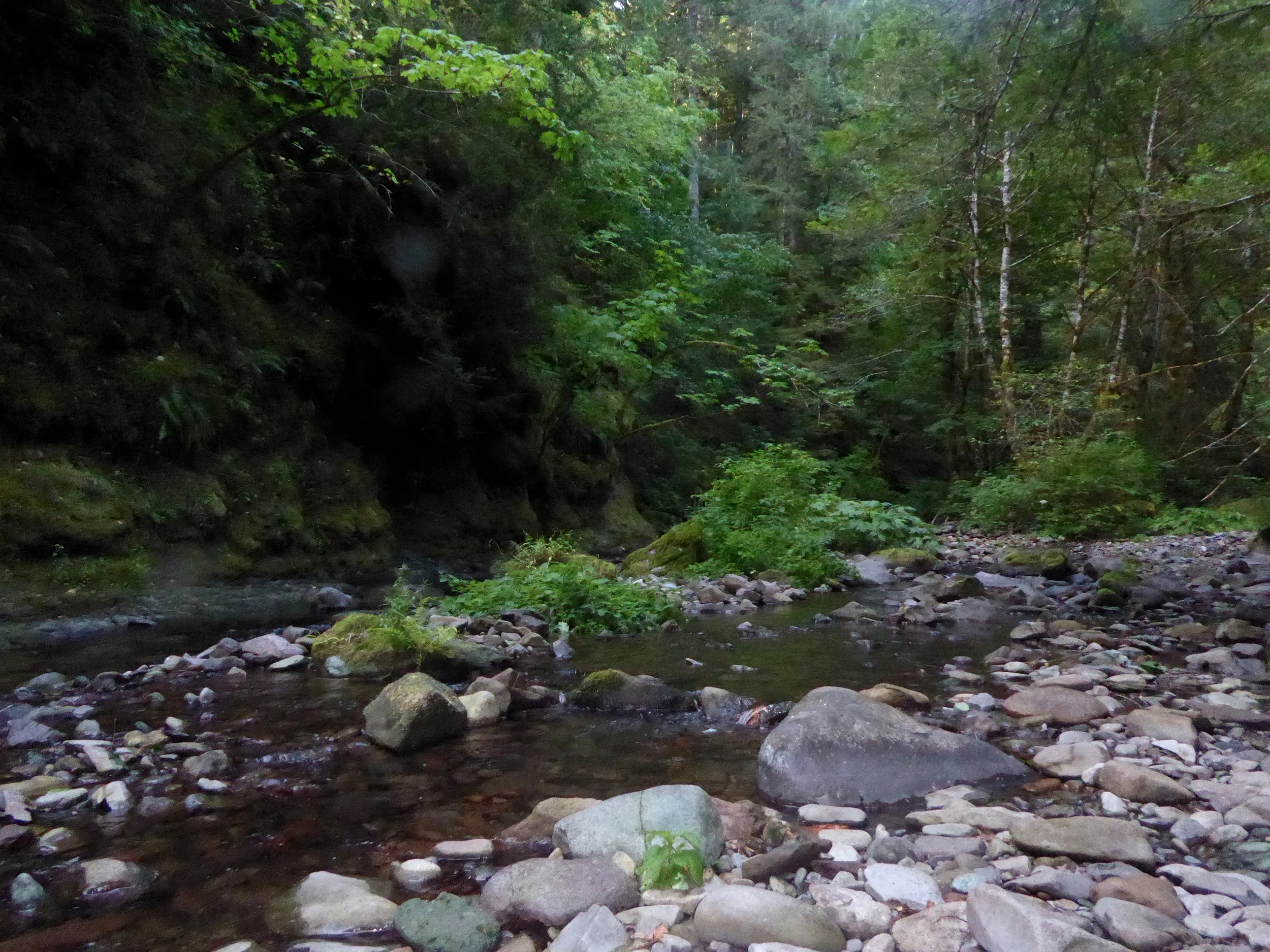 P1010751.jpg