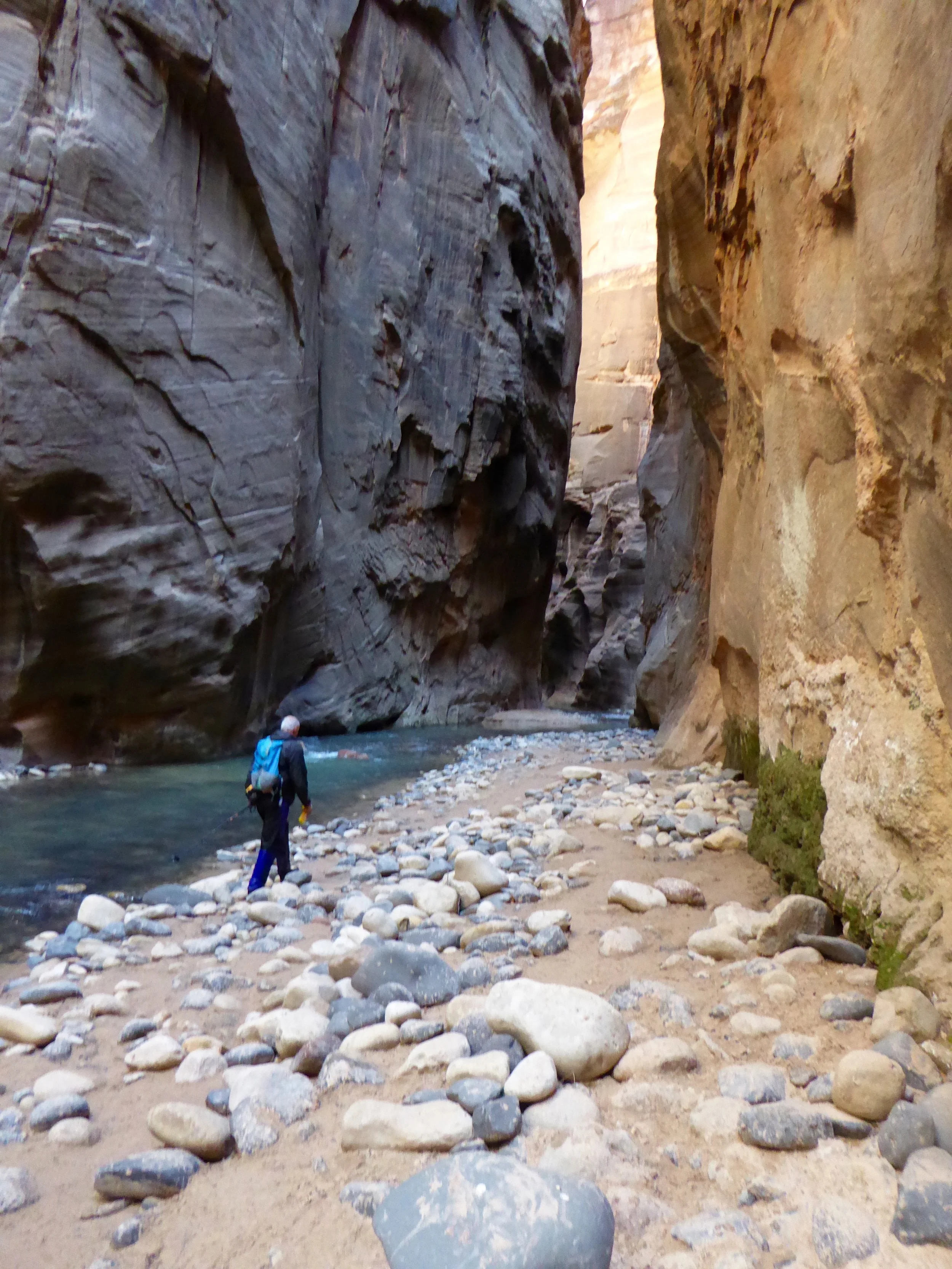 P1010369.jpg