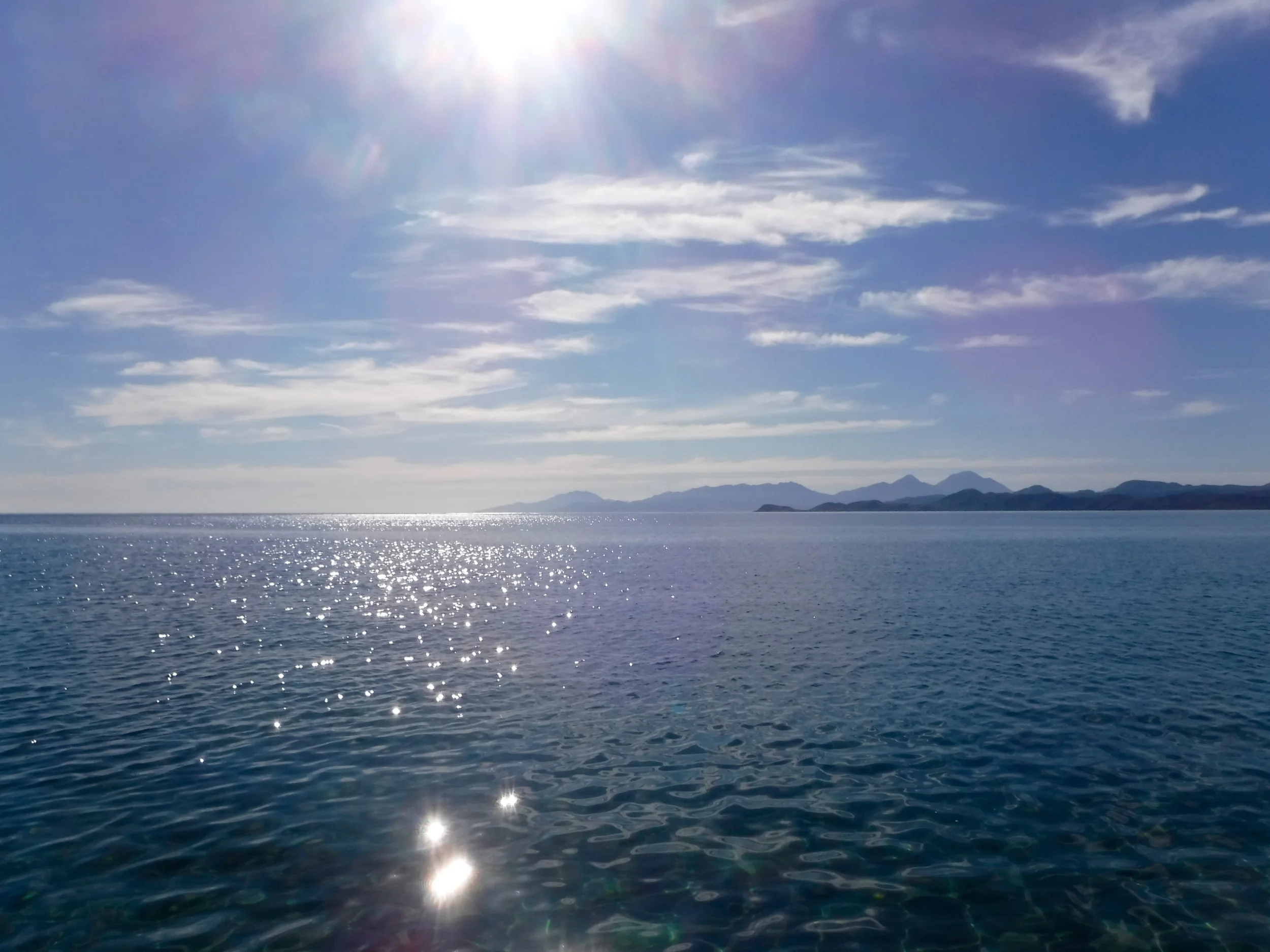 DSCF0612.jpg