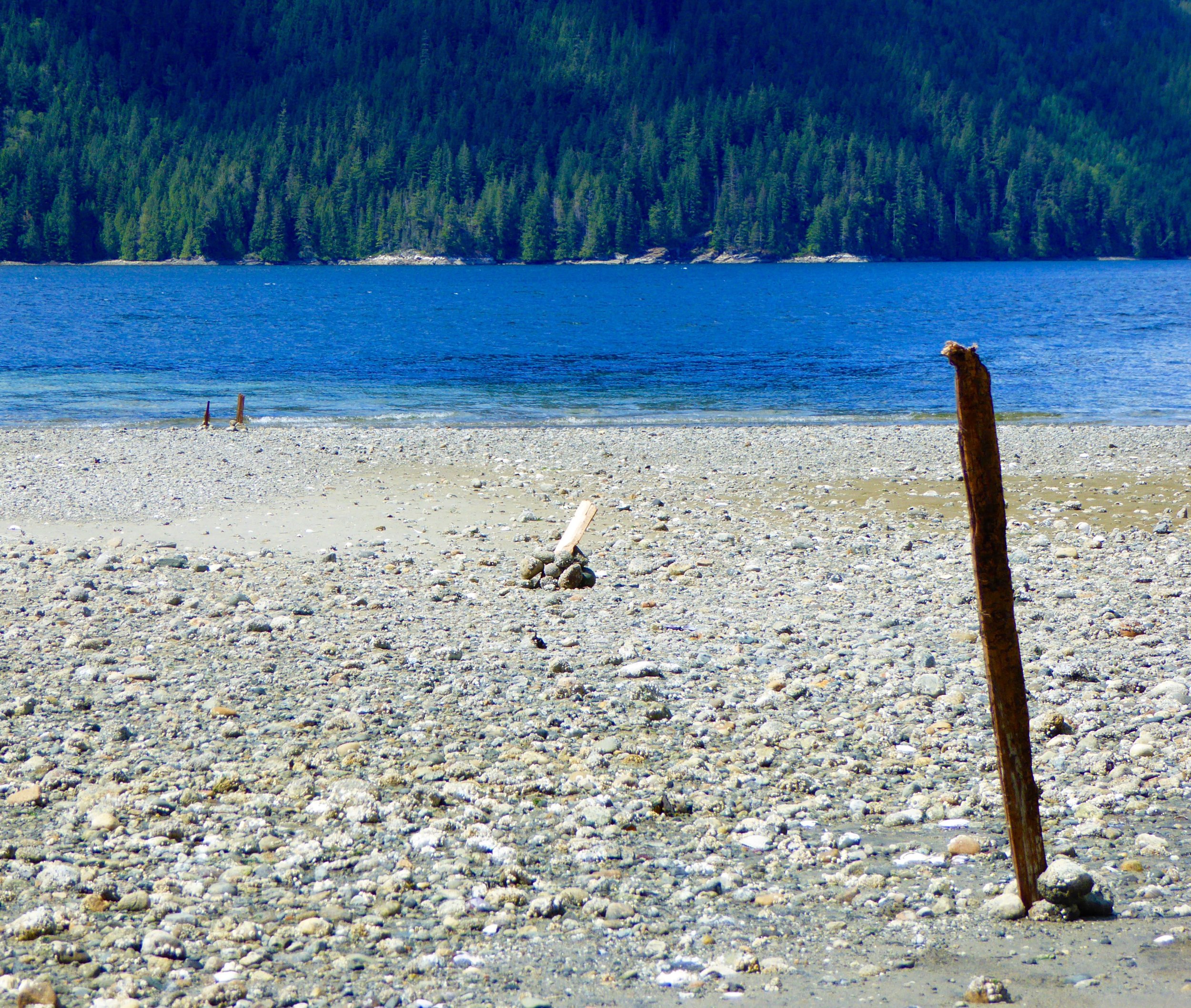 The sticks mark the tide as it goes out. Still trying to figure out a pattern.