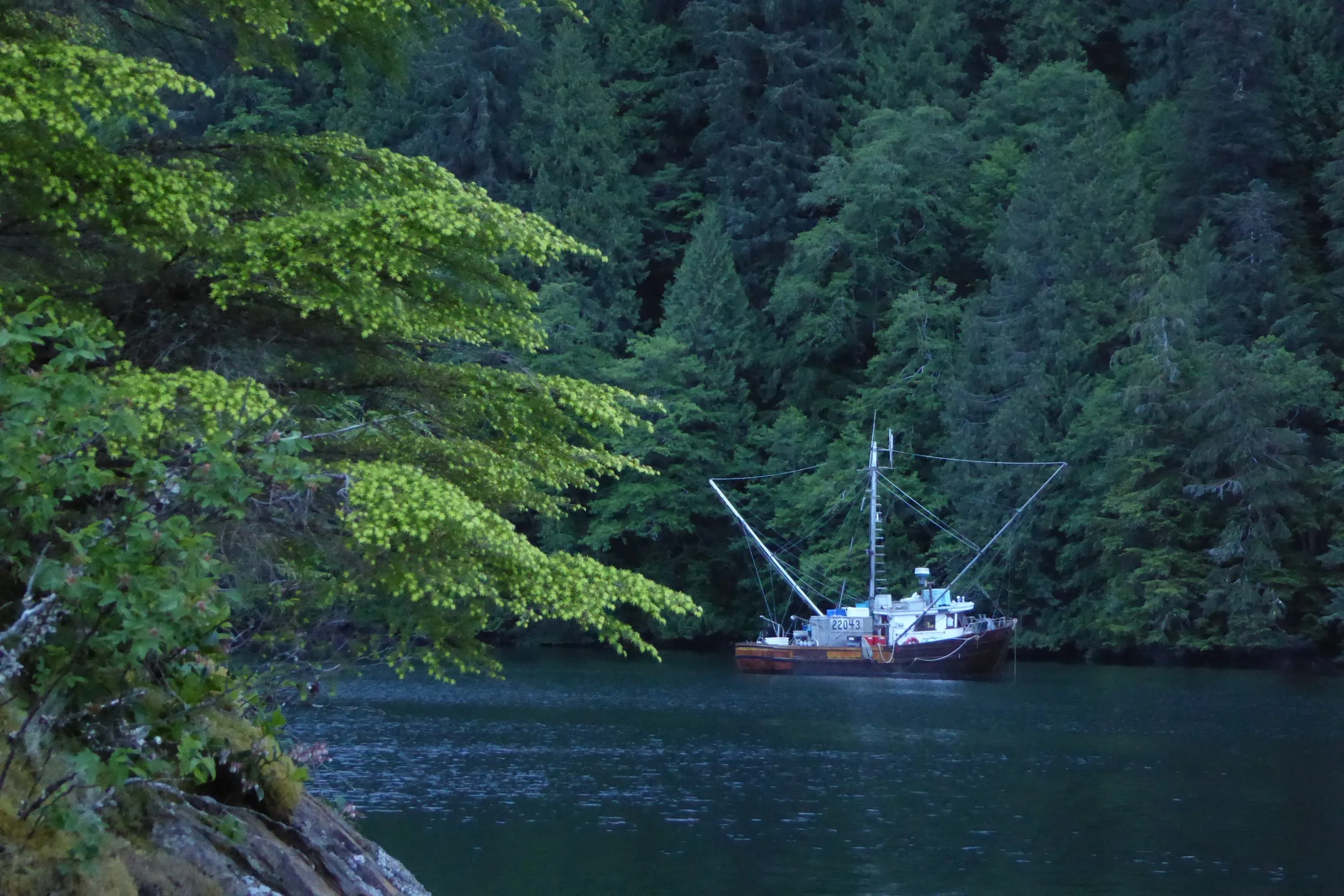 Fishing season has begun.