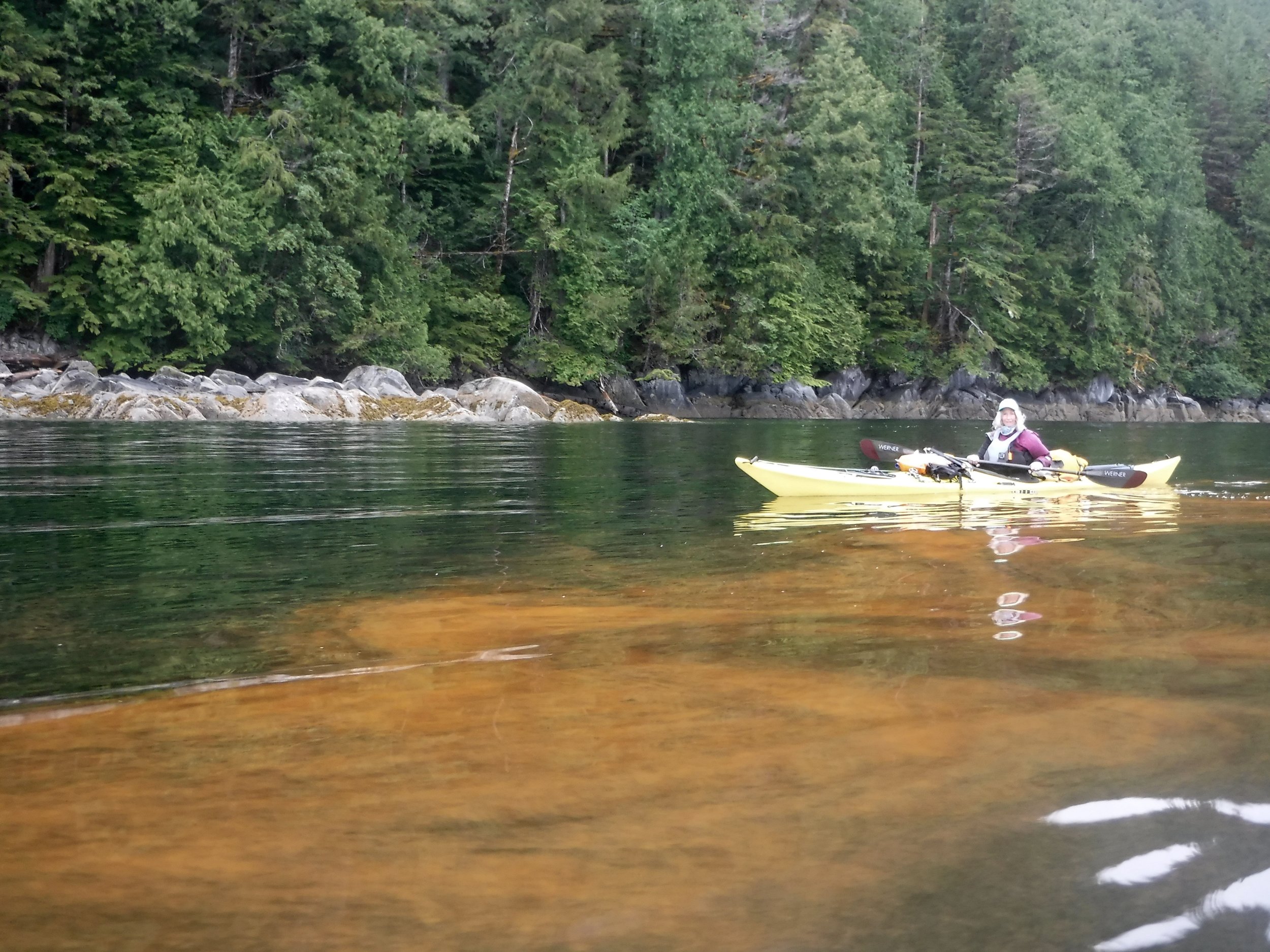 Lots of red in the water today.