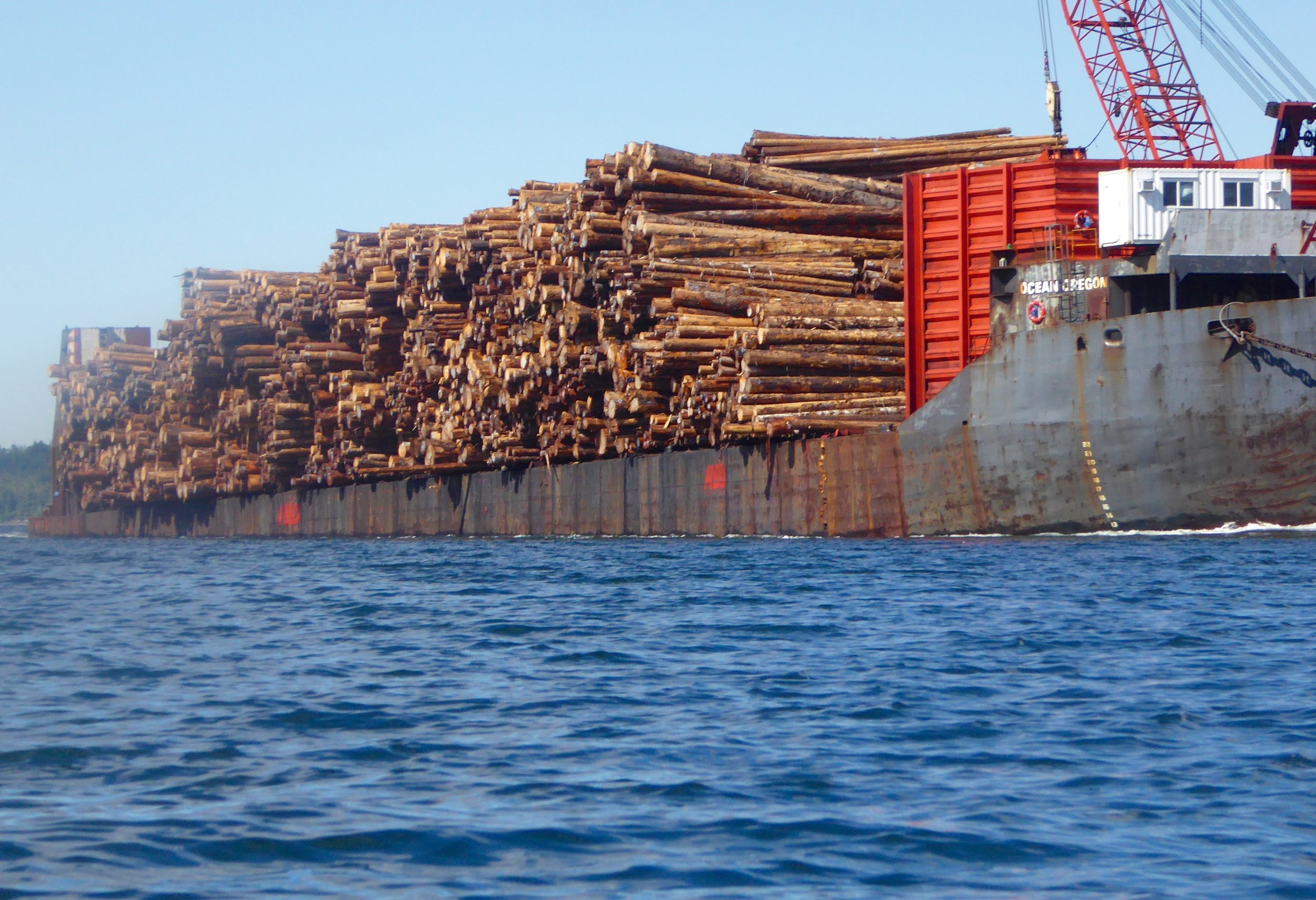 Logs on the move has been a common sight. 