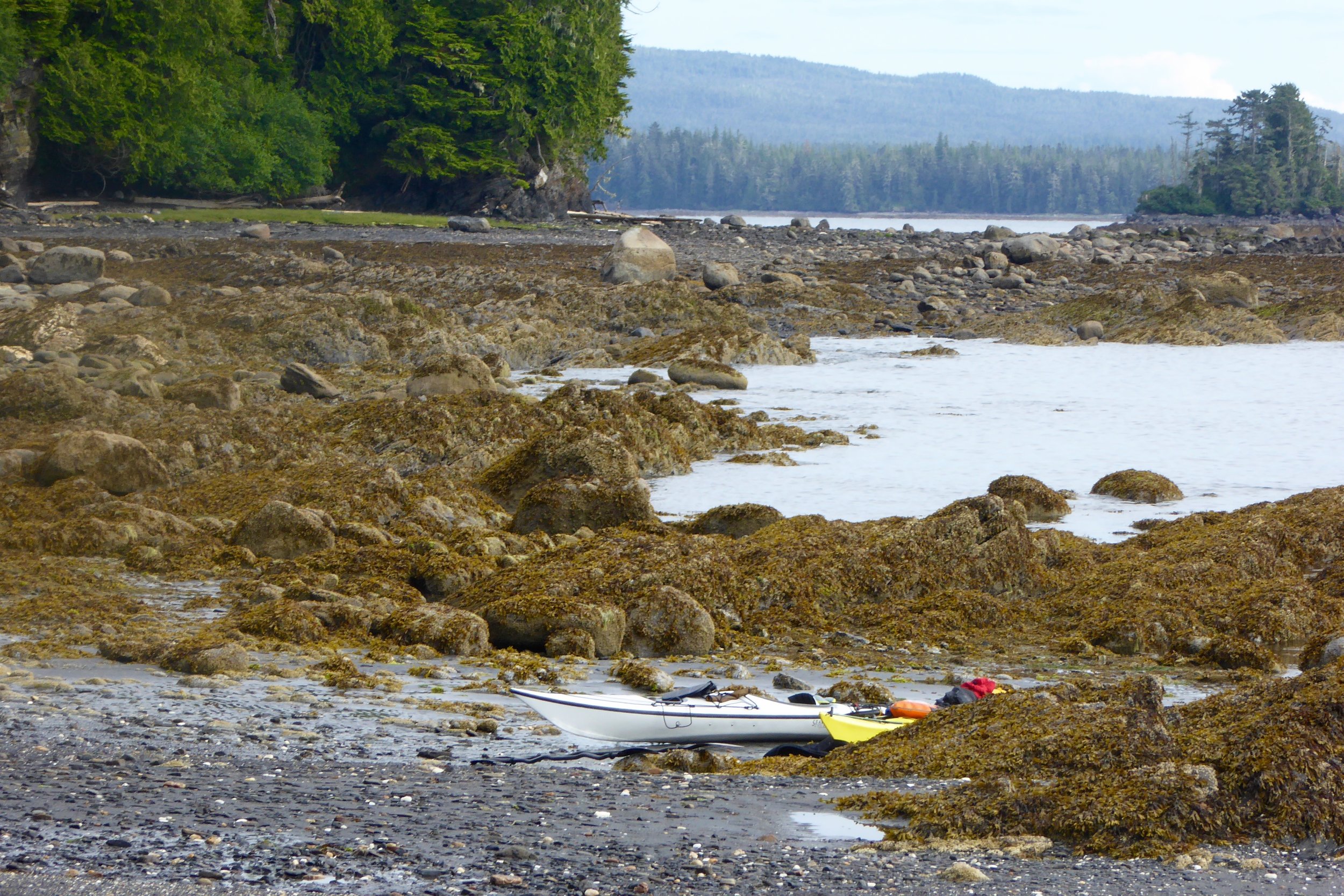 Would have rather landed at high tide.