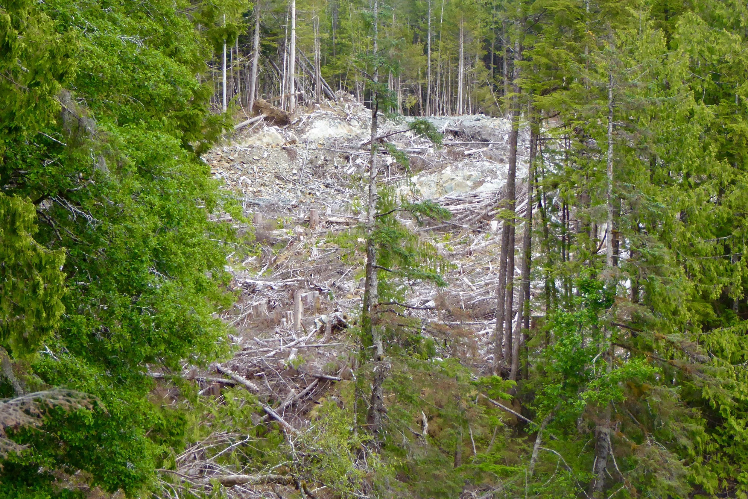 Close by is the logging operation