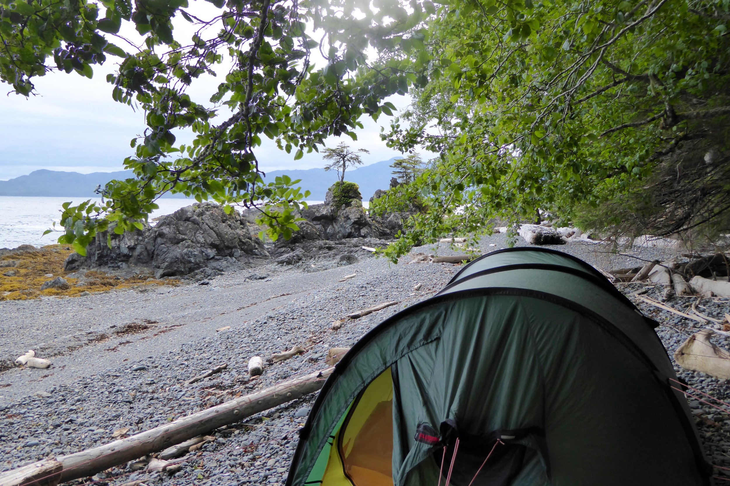 Home for the night