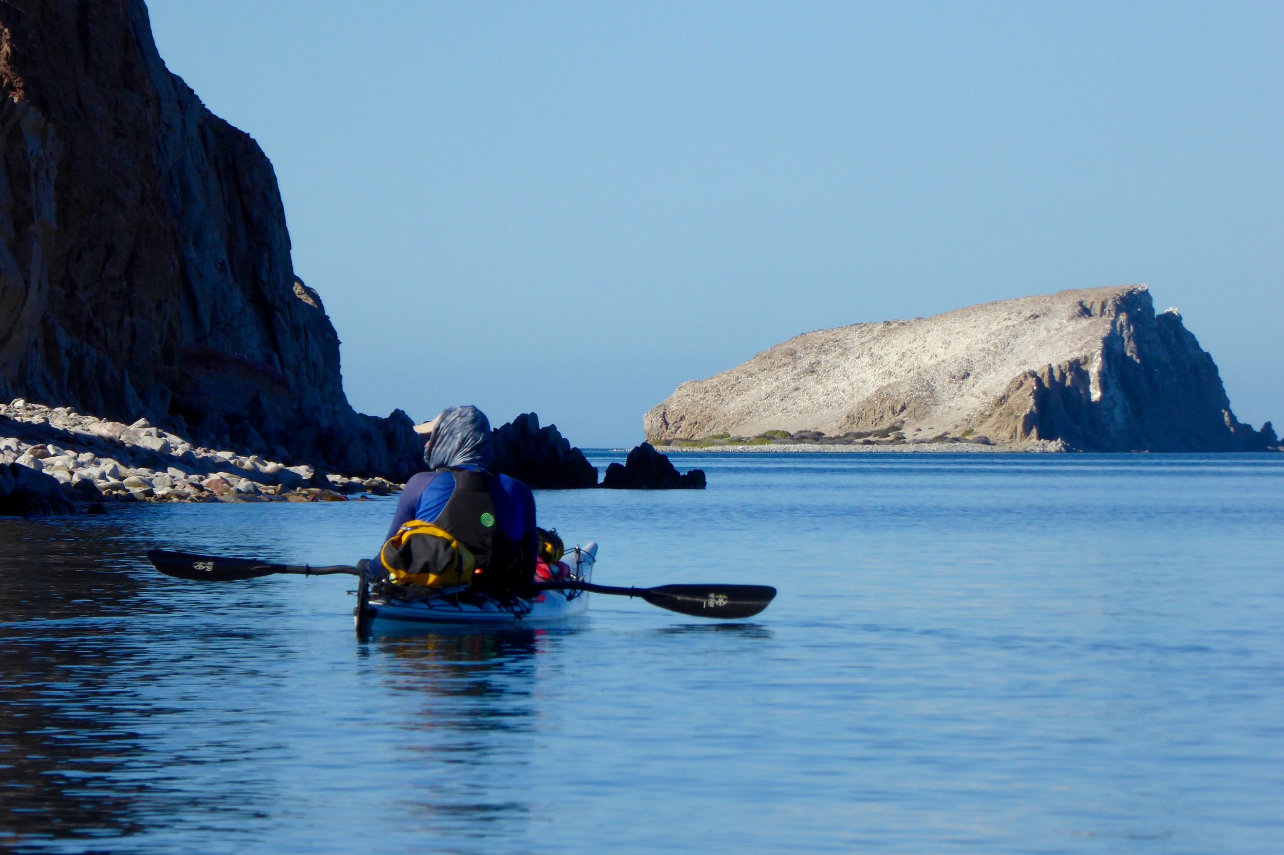 The wildlife today was impressive. Lots of turtles, sea lions, whales and most likely a bobcat on the shore.