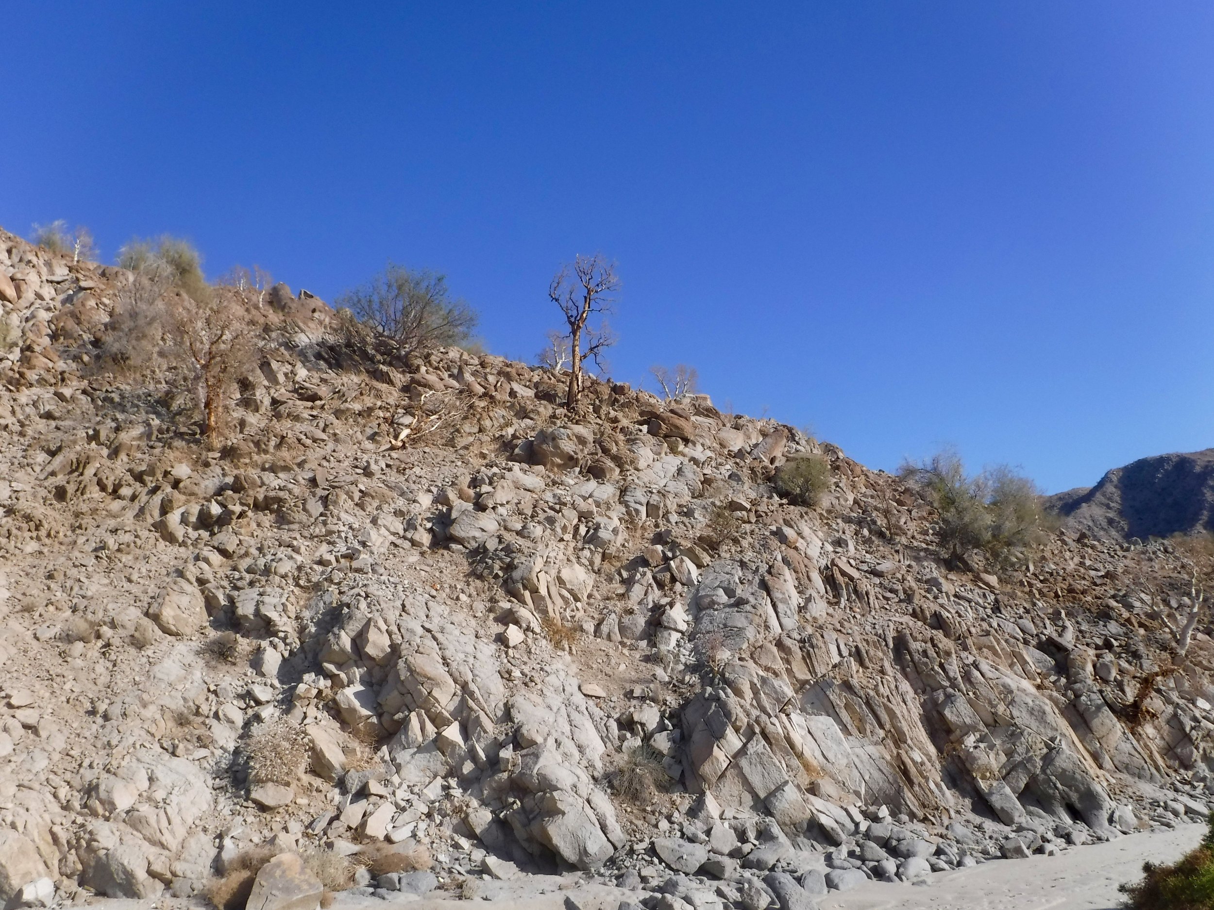 Quite the dry hillside.