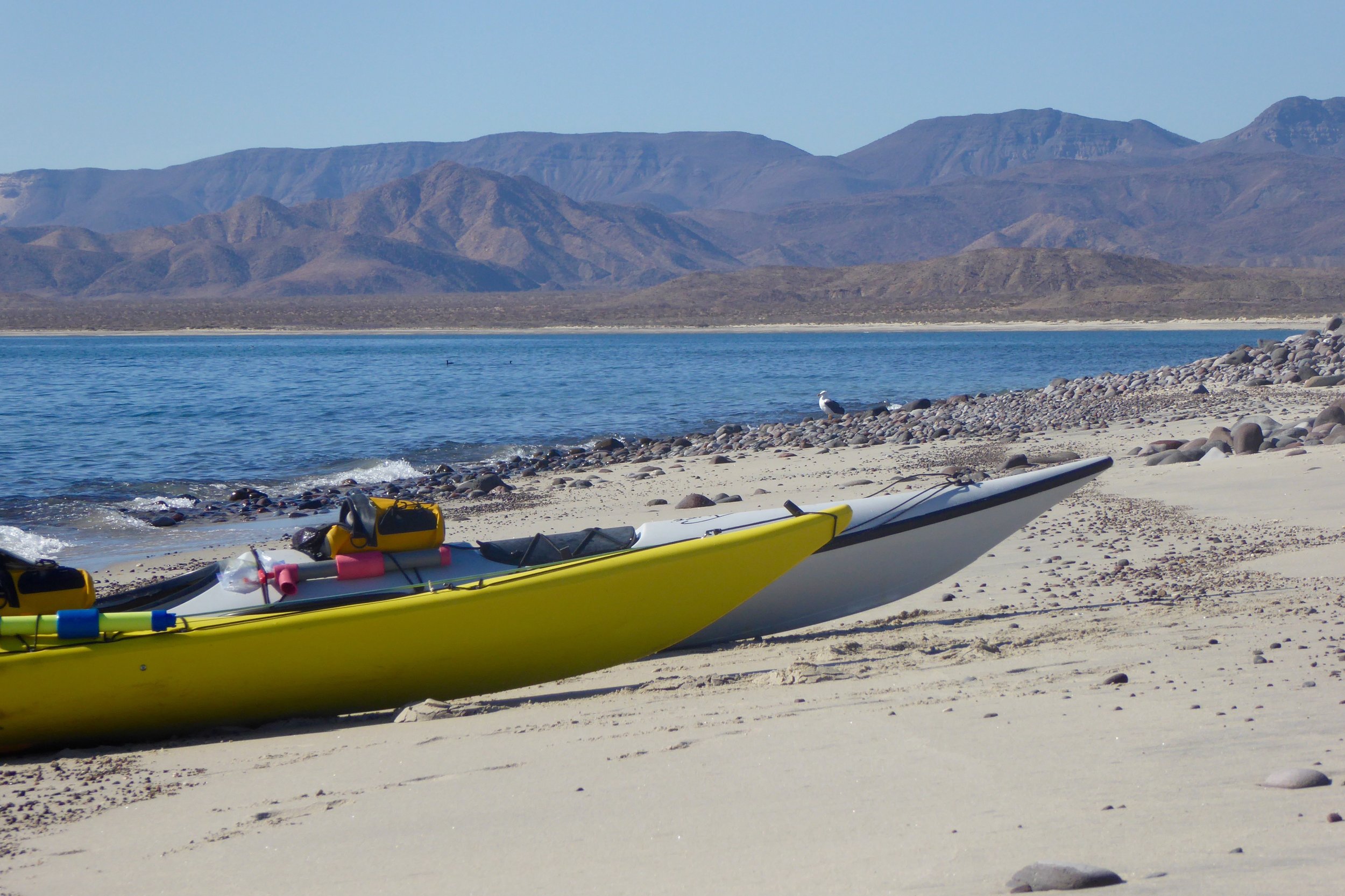 The tide was perfect for pulling up our kayaks,