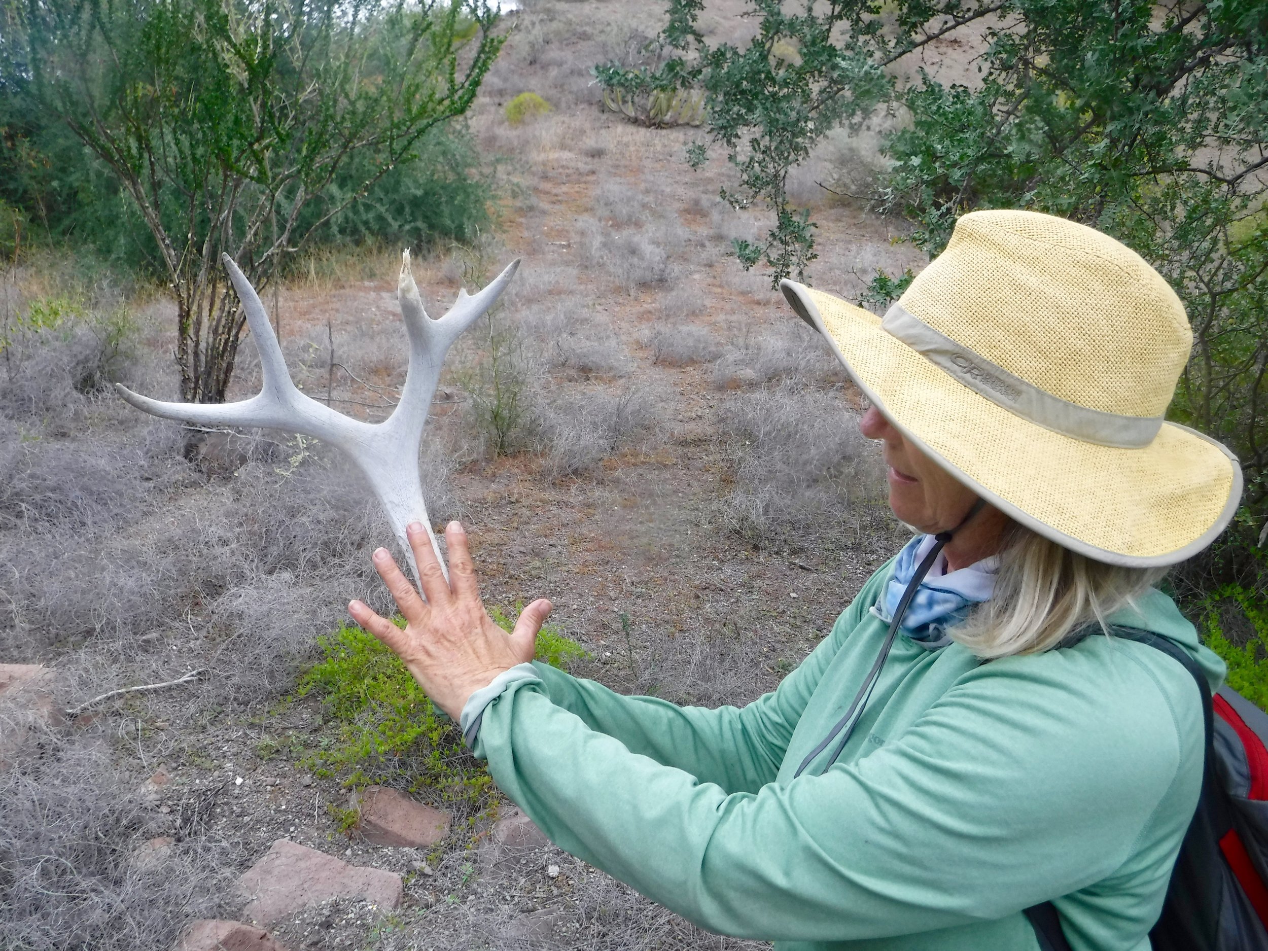 This year has been good for the wildlife.