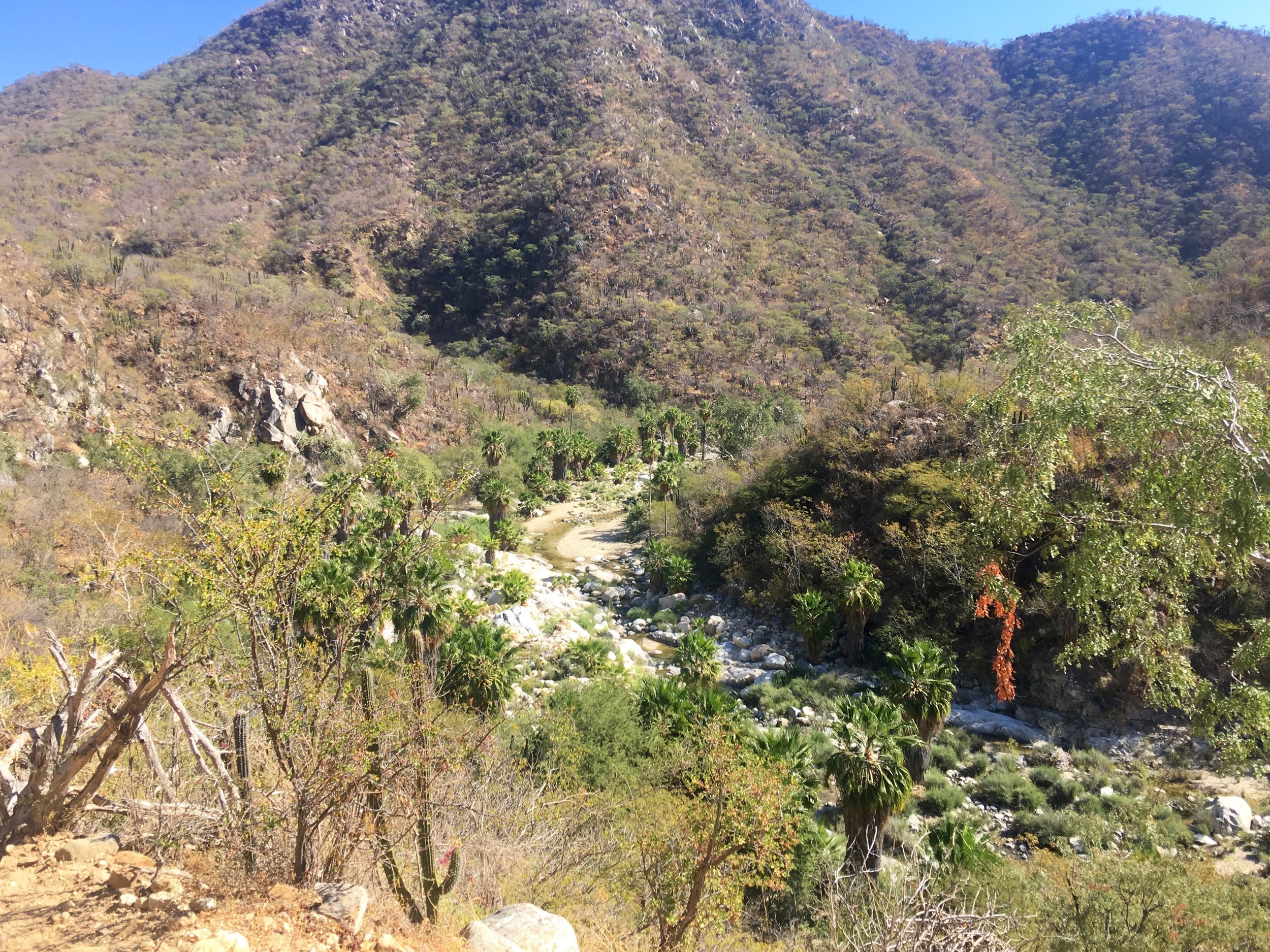 Always amazed at water and what it can mean for the desert.