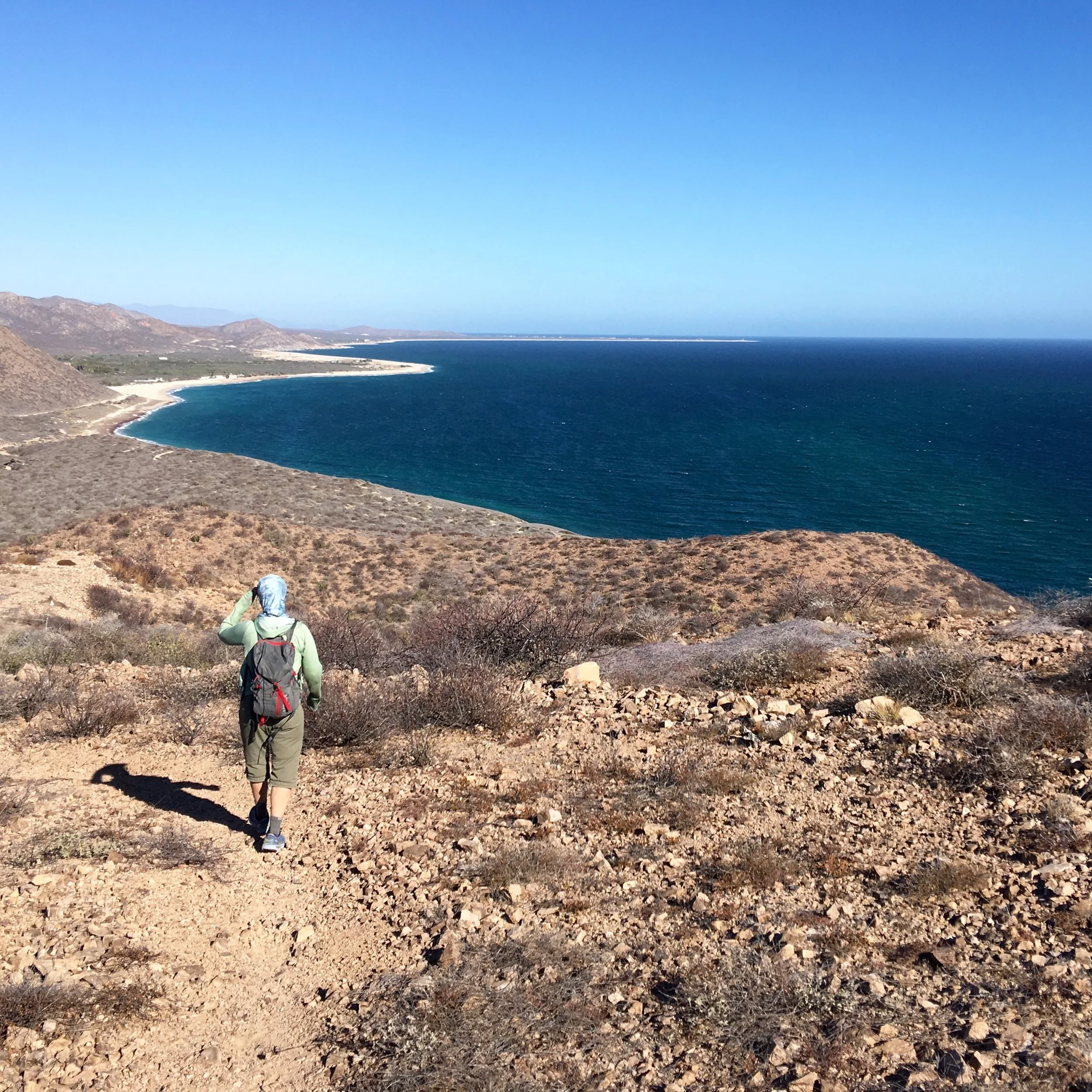 A good view of the coastline that we had paddled.