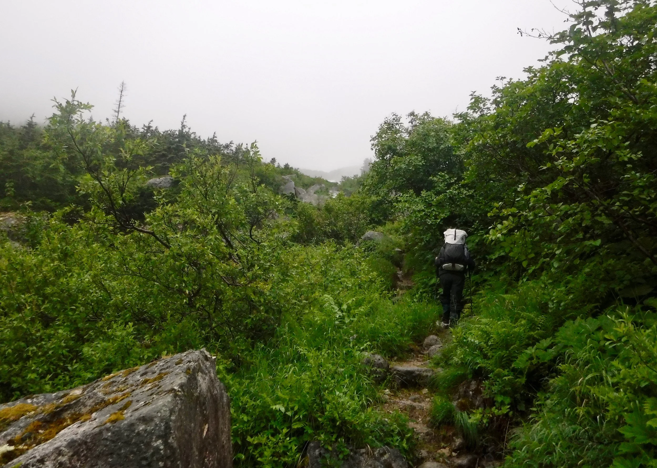 a steady up but not steep yet.