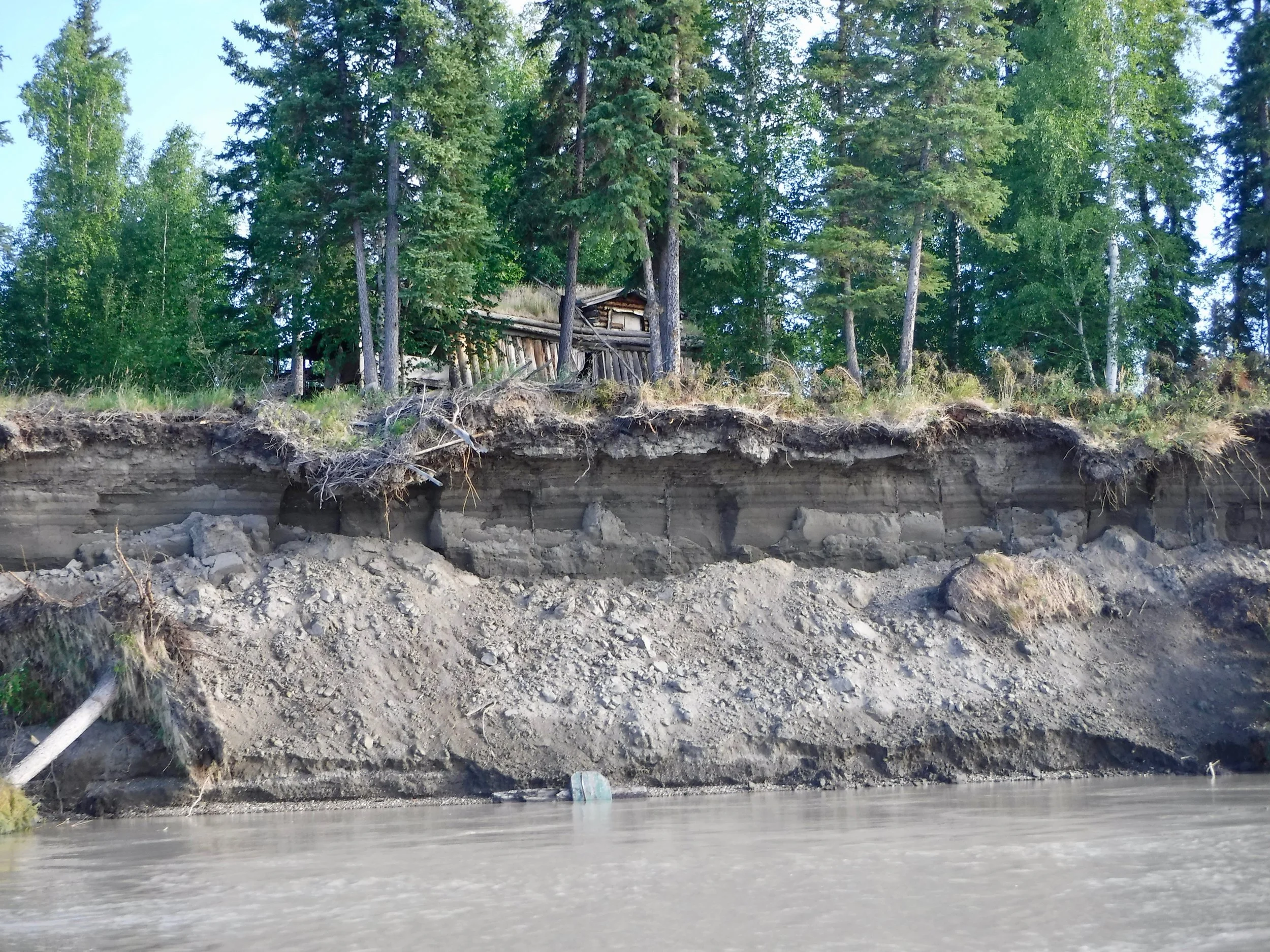 Banks of the Yukon are continually falling into the river. No wonder the color of it is so brown.