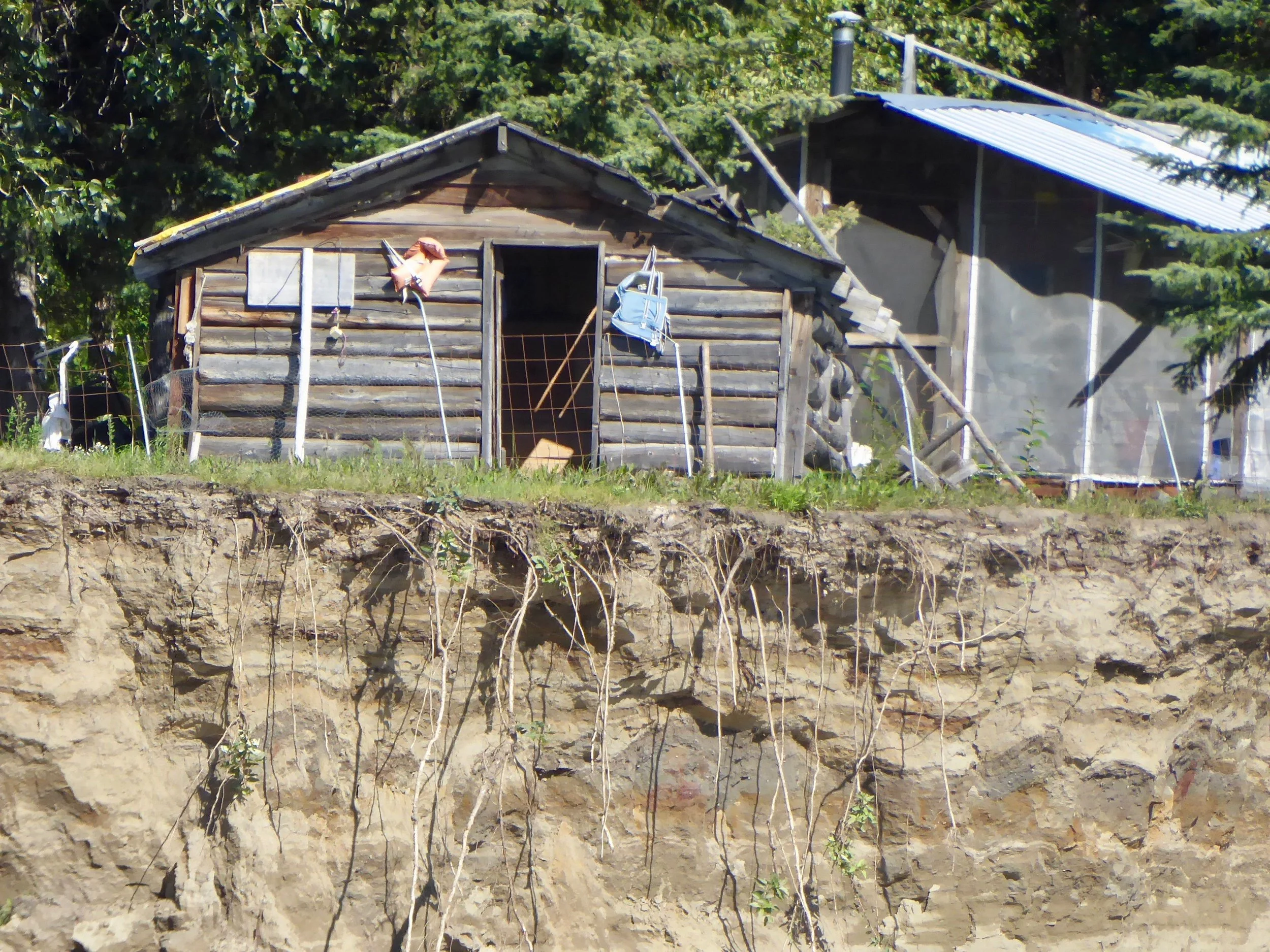 The river continually erodes the banks, often sending large chunks of debris into the river.