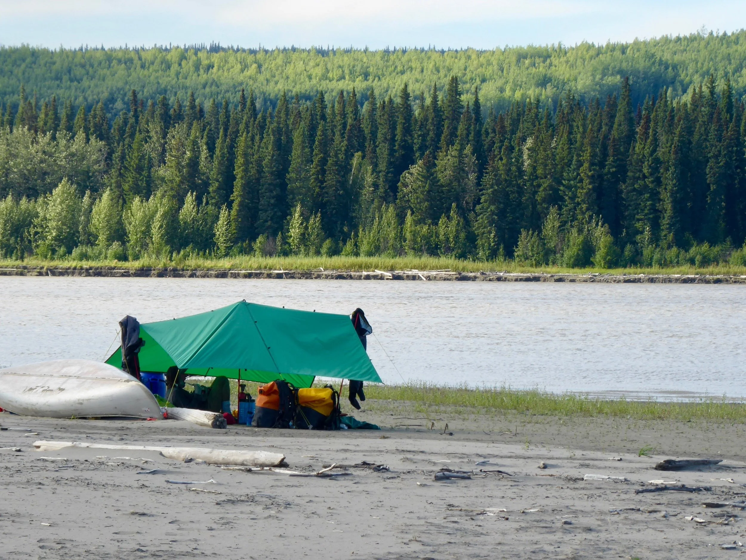 Tent stakes are easily able to be put into the sand. There are definite different kinds of sand. We will have to experiment which ones are the best for putting the tent on. Today we paddled past the Koyukuk river which flows with a clear color into the Yukon. Upstream a ways is the town of Koyukuk, didn't really want to paddle up stream so passed on by. One of the books that we had read about the Yukon said that near here is the Last Chance Bar. Supposedly the last place one can buy alcohol from here to tBerintg Sea. We didn't see it, but really were not looking for it. Each village makes their own decision about alcohol. We also met the man who told us about Slop Bucket Jerry. He was coming from the town of Koyukuk and wondered how we were treated in Galena. He also said that more boat traffic than usual was due to a funeral in the village of Koyukuk. Miles paddled 33 August 8 It was another morning of dew, but the gnats must have gotten their wings wet as well. They were not quite as active. The other reason of their inactivity could been because of the moon. It was so bright last night that they might have stayed active all night.