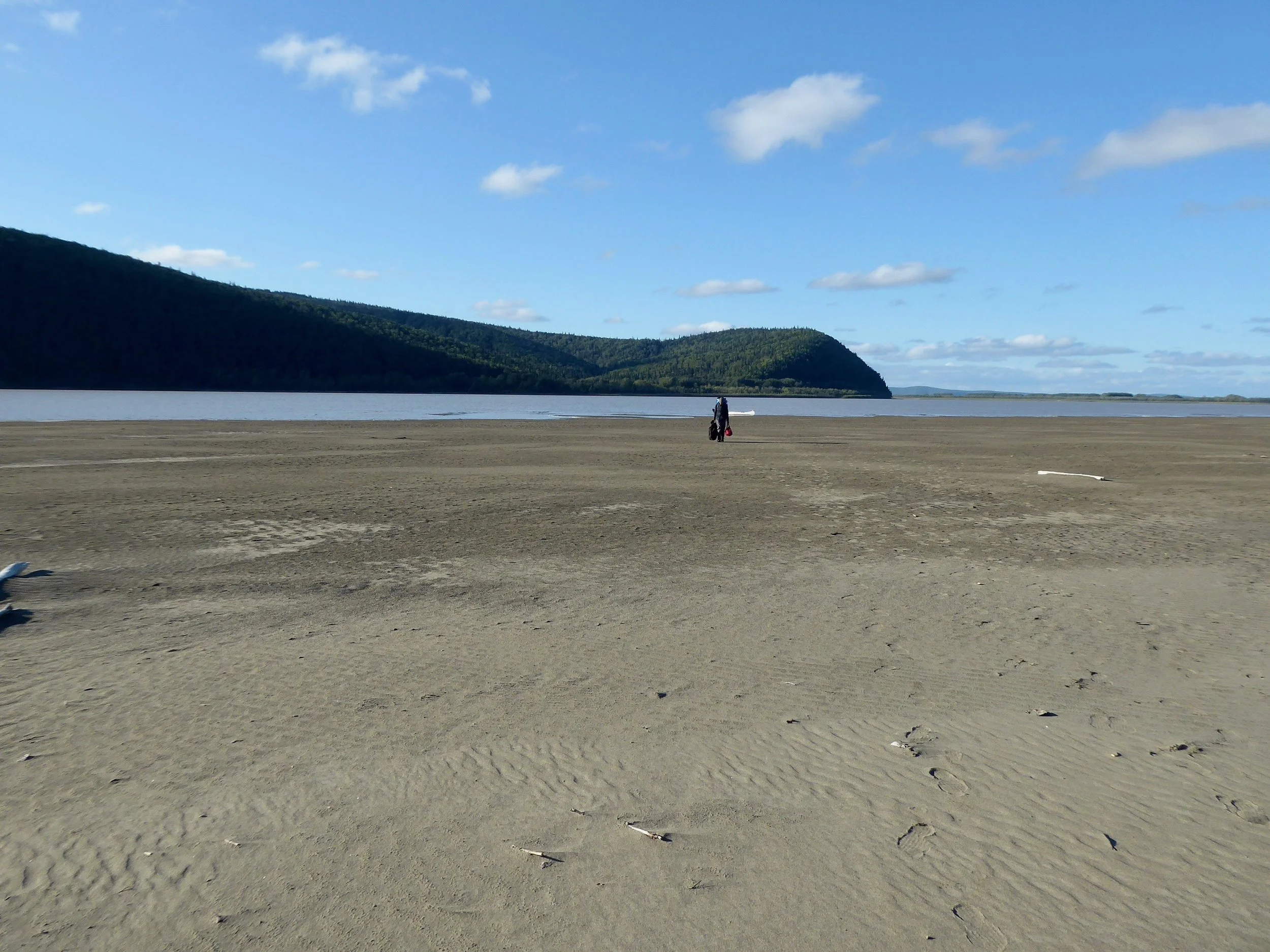 P1000766.jpg