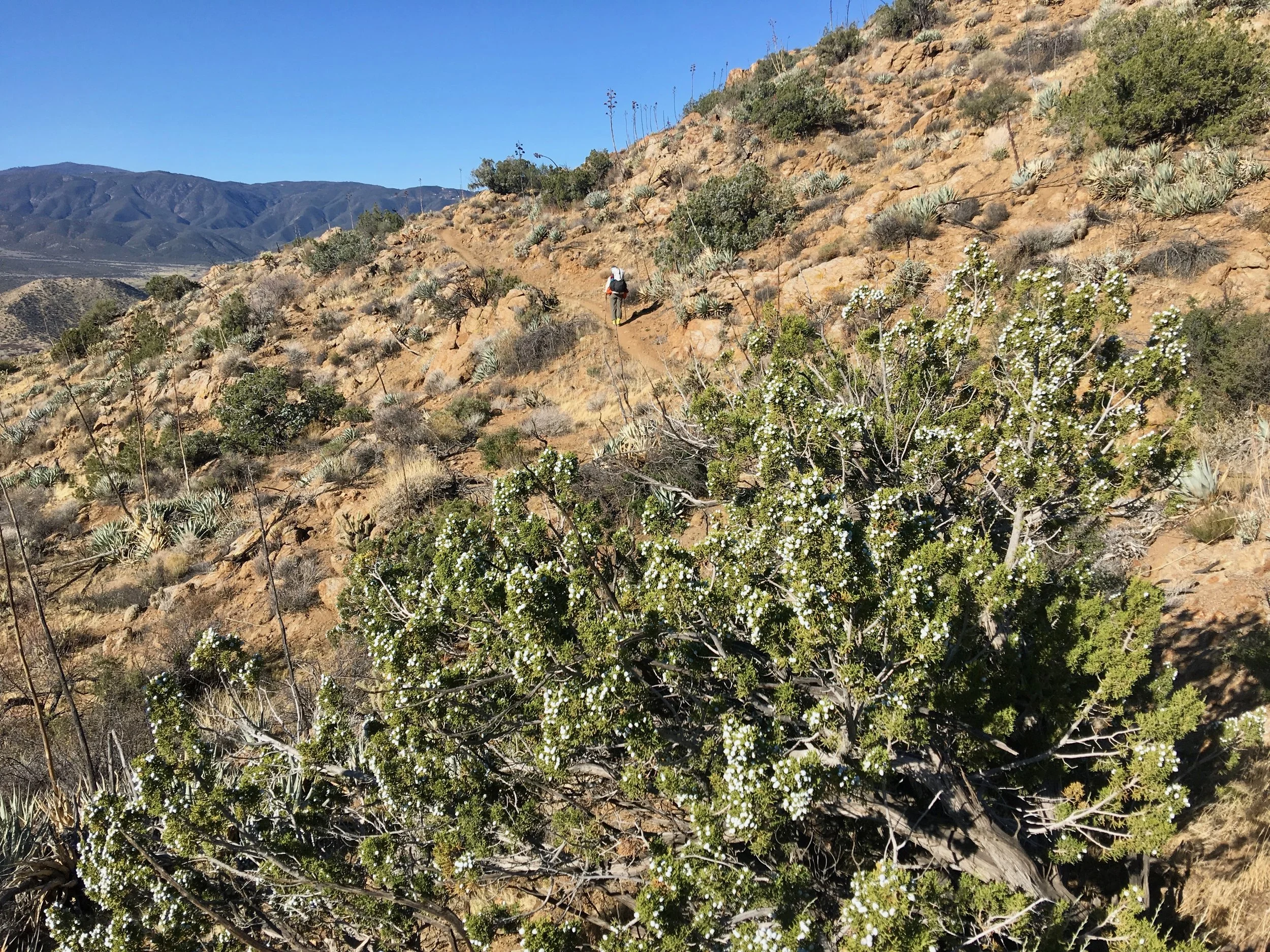 Always surrounded by the beauty of the desert landscape!