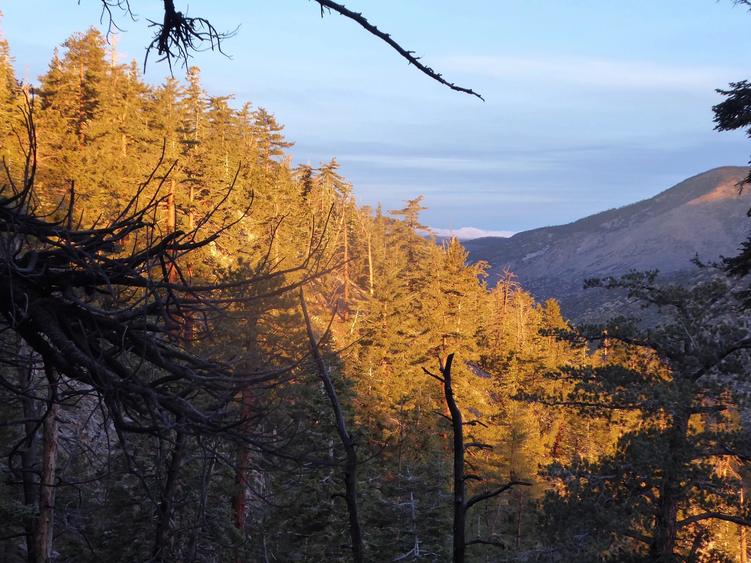 The early morning light was spectacular as well as the fresh snow on the mountain in the distance.