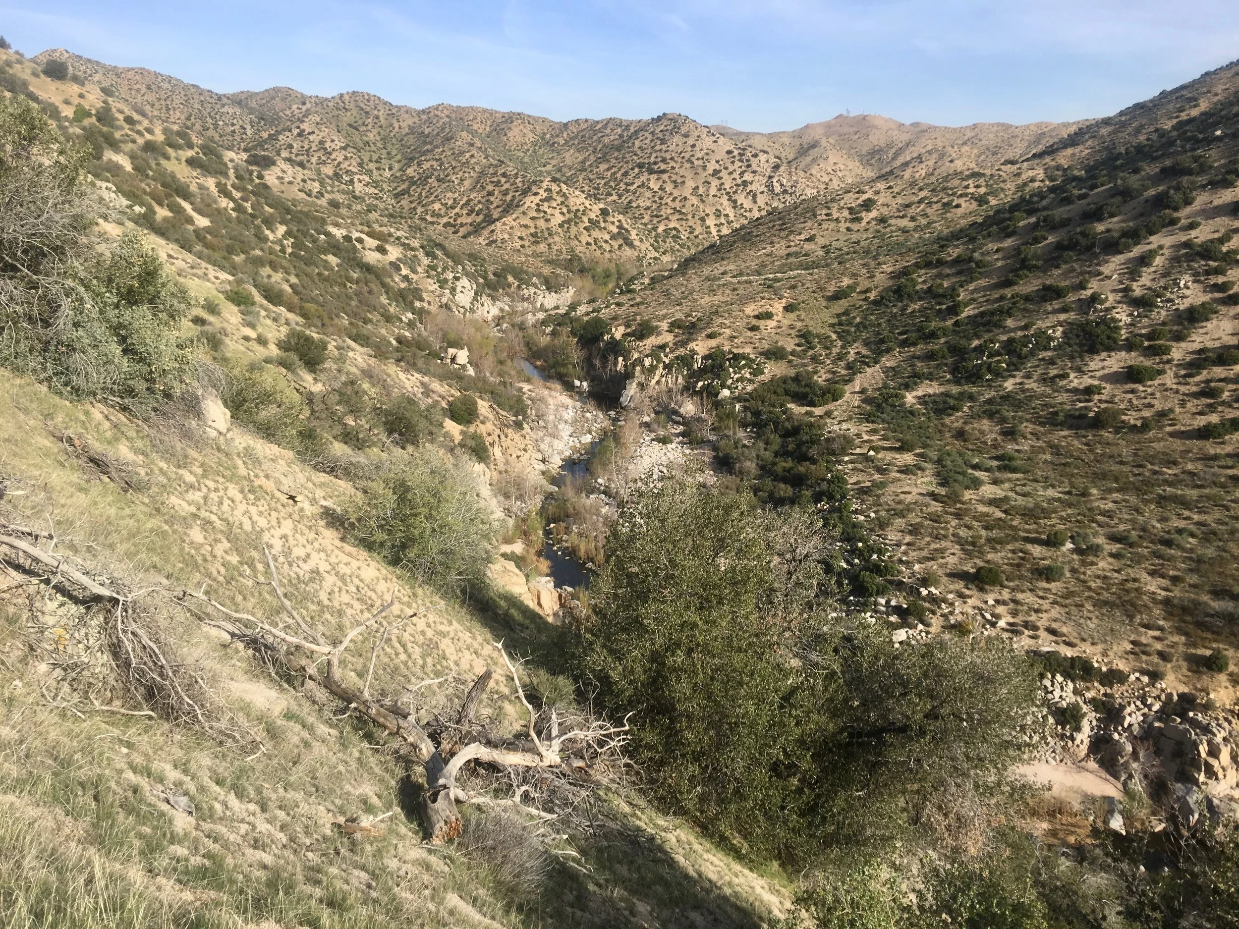 At one time this was a well known trout stream, but with the recent drought the water level has dropped considerably. Don notices an agave that is getting ready to shoot out its flower.