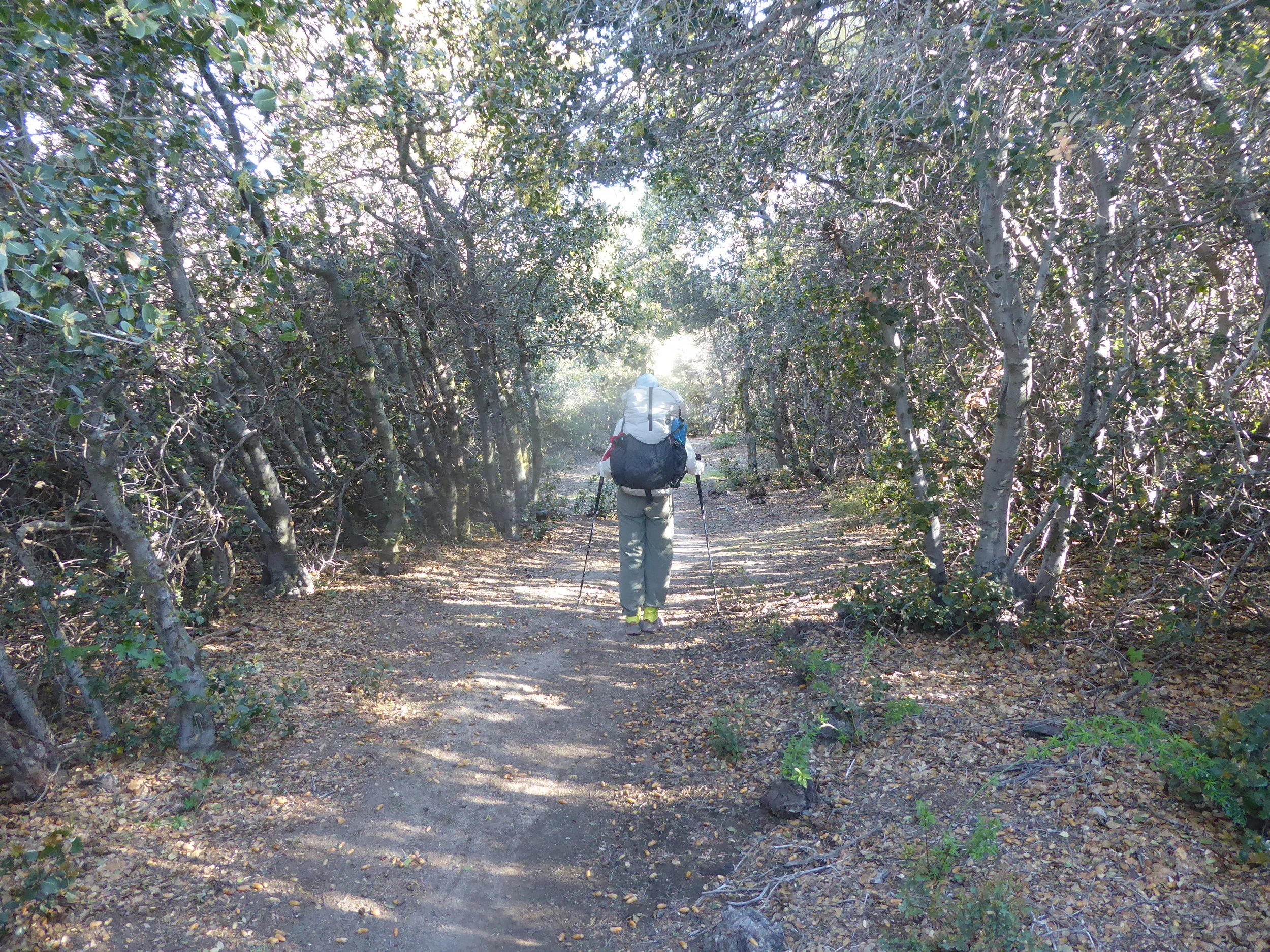 True to form the trail goes up and down for most of the day. A big moment today was the passing of the 500 mile marker.