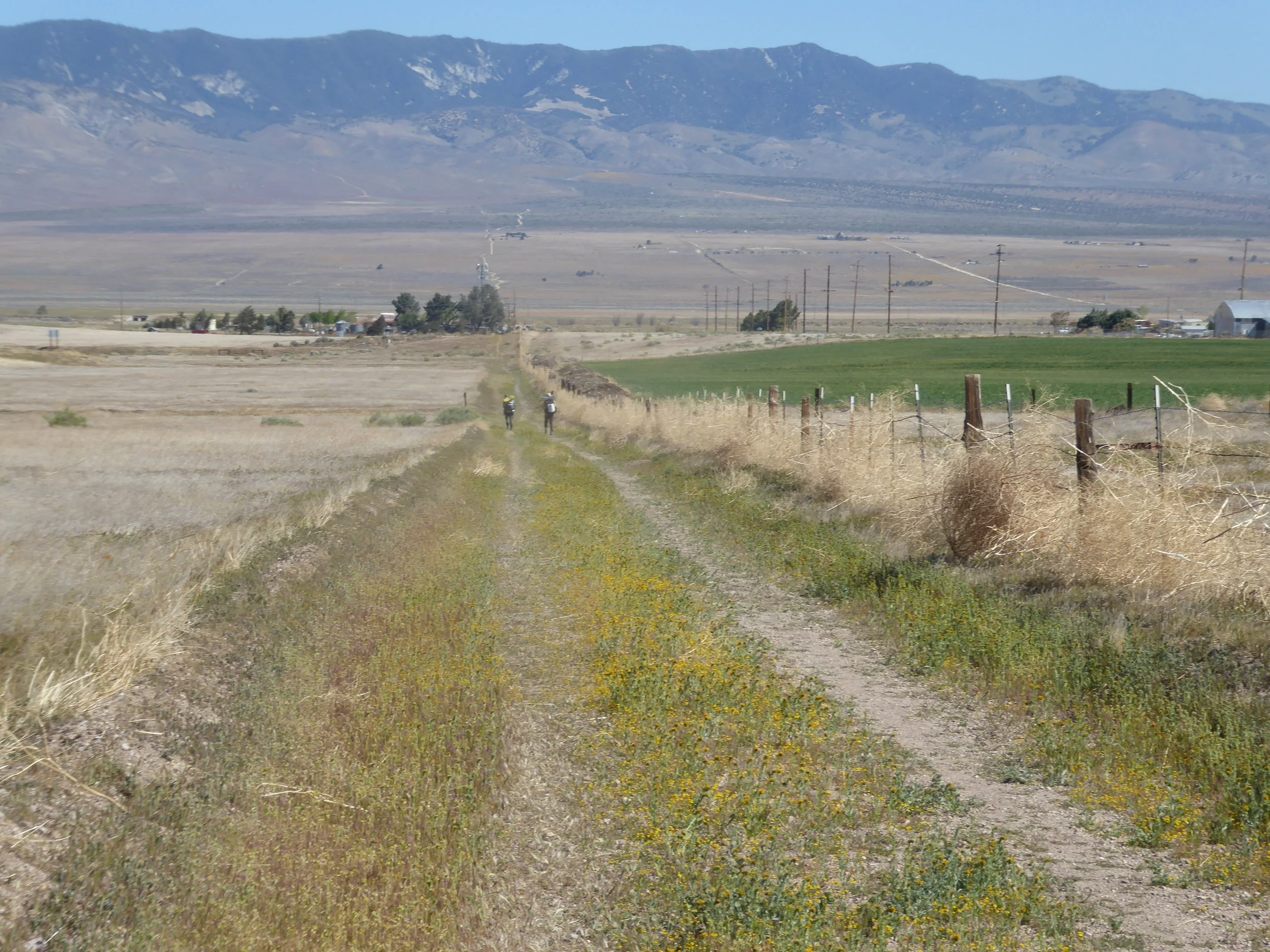 Then we just had to cross the road, open the gate and we had arrived at Hikertown,
