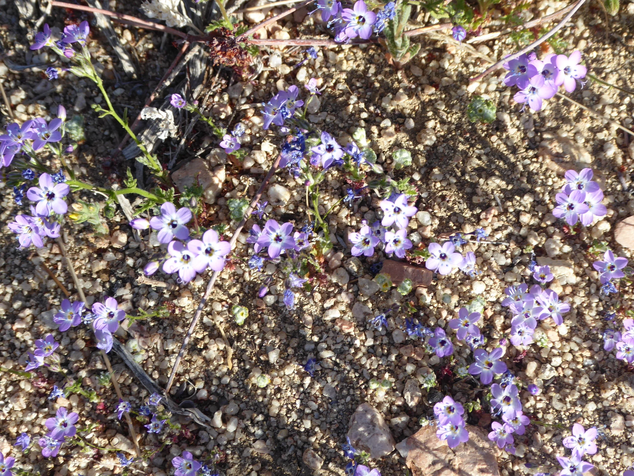 P1010369.jpg