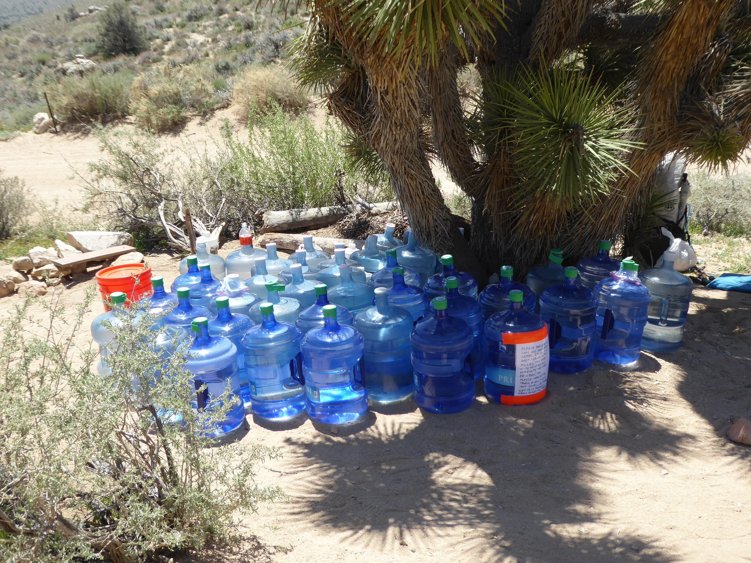 It is quite the welcoming oasis! We are at the front of many hikers to come. Since these caches are the only water for 30 miles they are quite appreciated. There may be as much as 1000 gallons of water brought in over the summer. At the cache we meet 3 hikers in there 60's. Two of them are finishing up a four year journey of hiking the entire PCT in sections. They will be done at Walker Pass which is about 20 miles away. We camel up which means we drink a good amount of water and get psyched to climb back out of the valley. It is quite the up for the end of the day, but we take it step by step and enjoy the beauty of the wildflowers that hug the path.