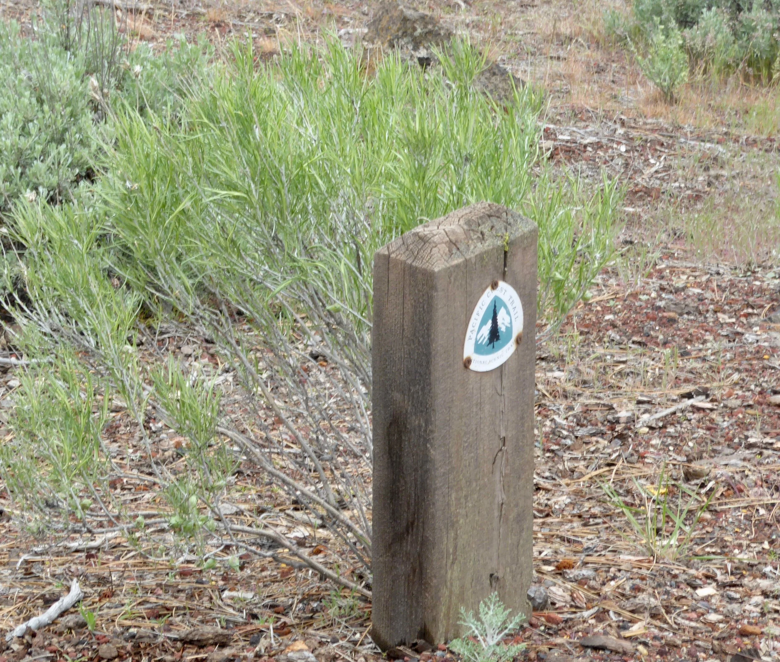 It is somewhat buried and the trail is overgrown. It doesn't appear to have had many recent hikers, if any at all. Before we start our hike we take notice of this sign.