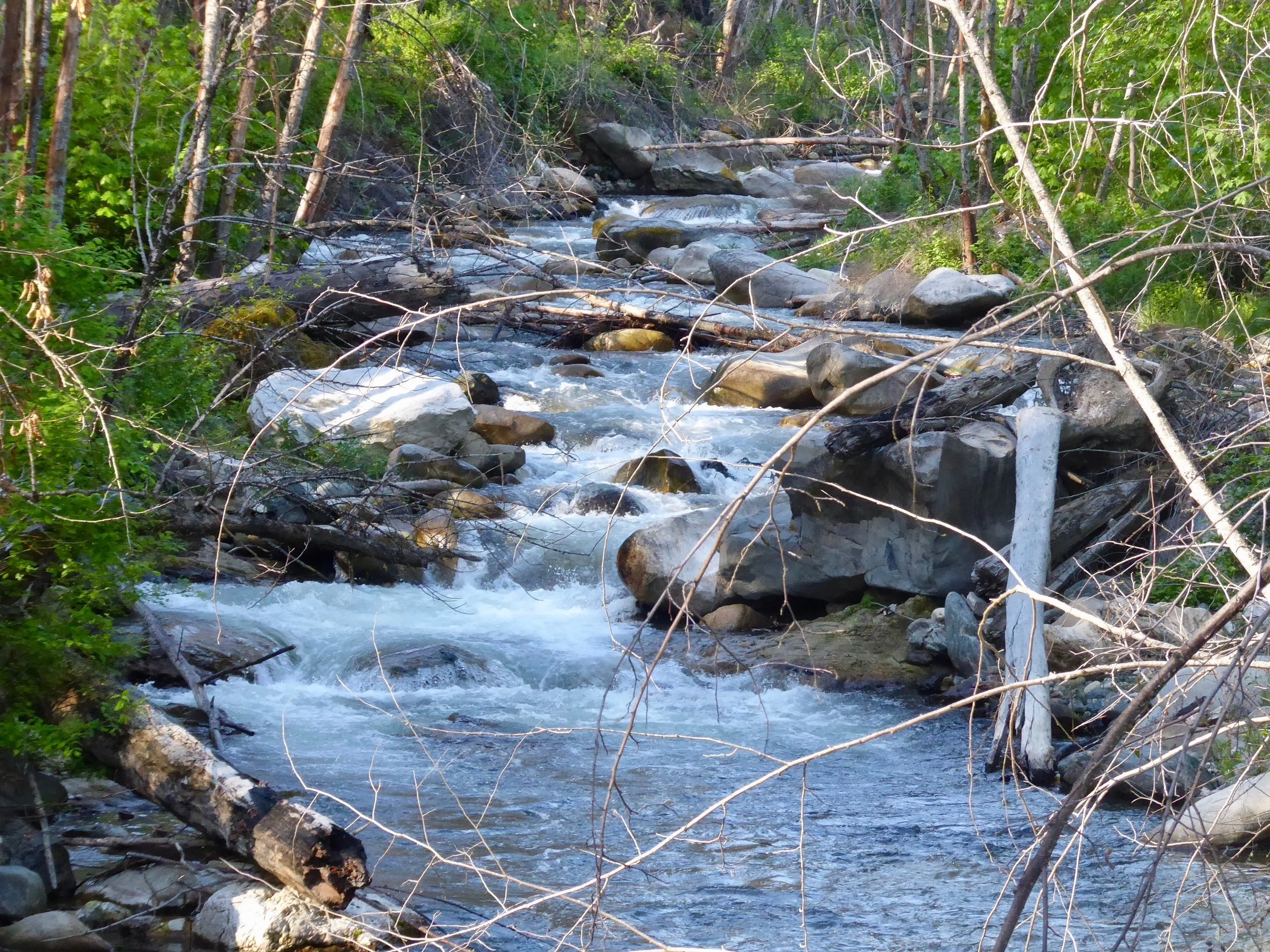 We appreciate the several bridges that span the creek as we head up the valley.