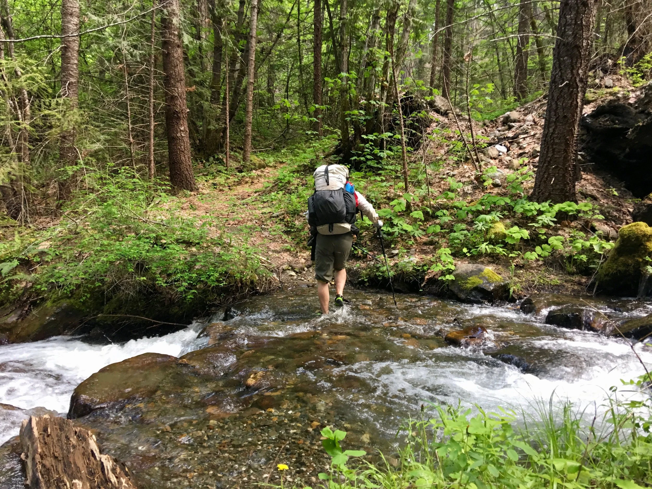 We put our water shoes to good use.