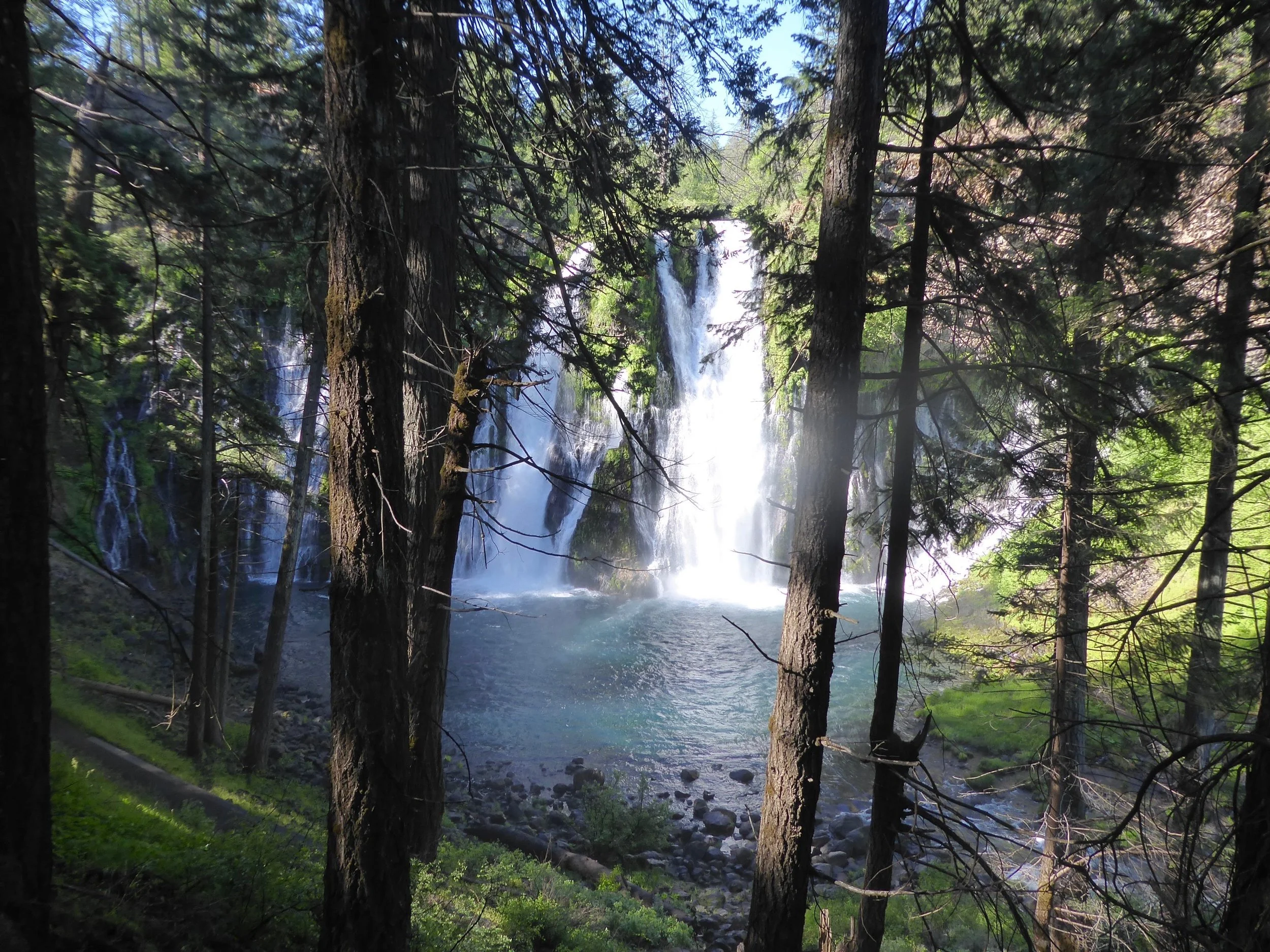 P1010639.jpg