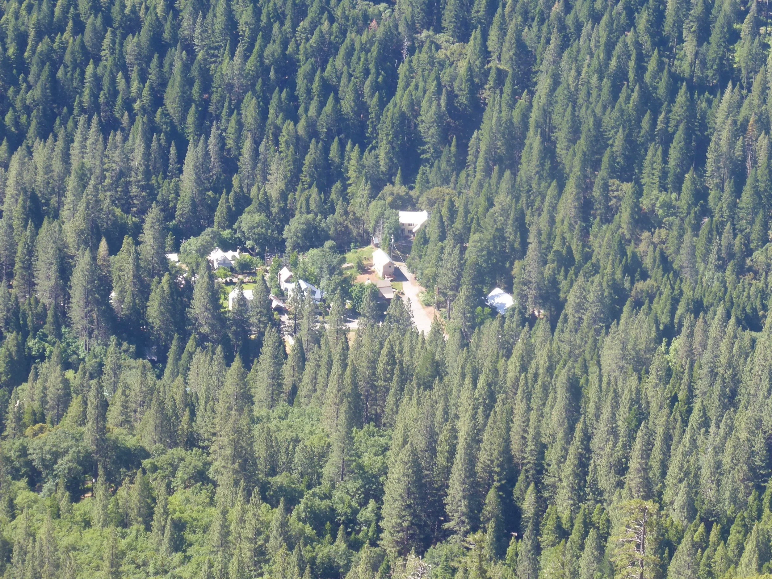 P1010766.jpg