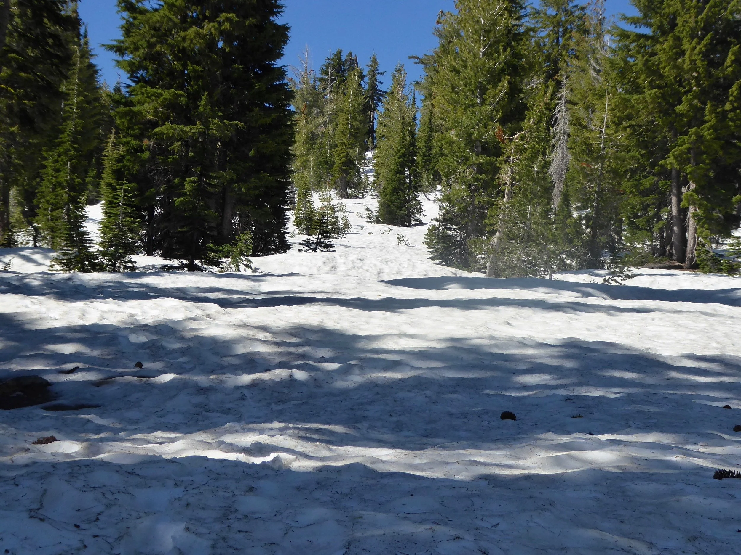 There were many foot prints so we tried to follow the ones that looked used the most. We even pulled out the micro spikes for one rather steep hill. They worked great.