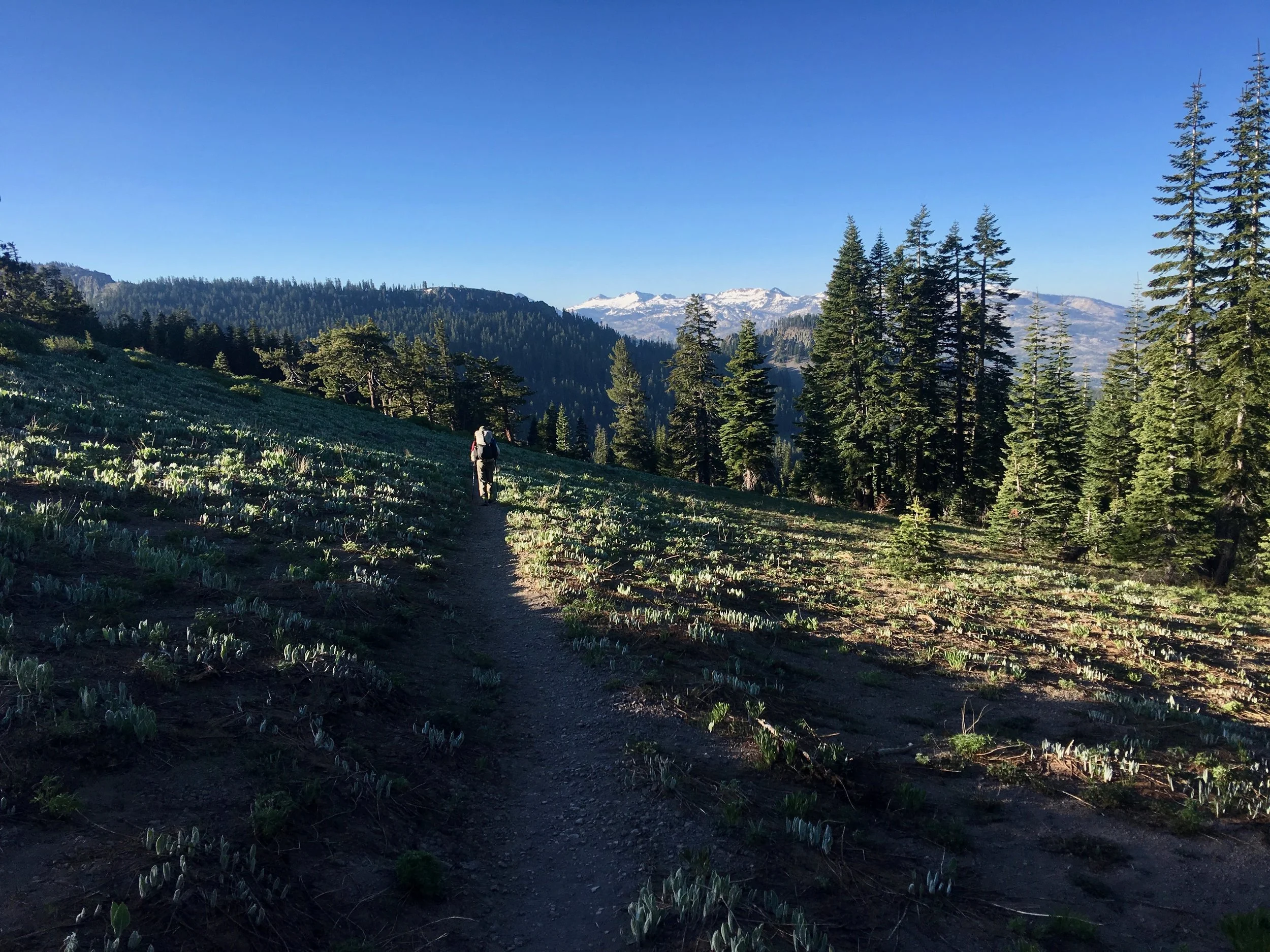 We had followed a heavily used trail, but quickly found that it went to a view point. Glad that it was a short detour..