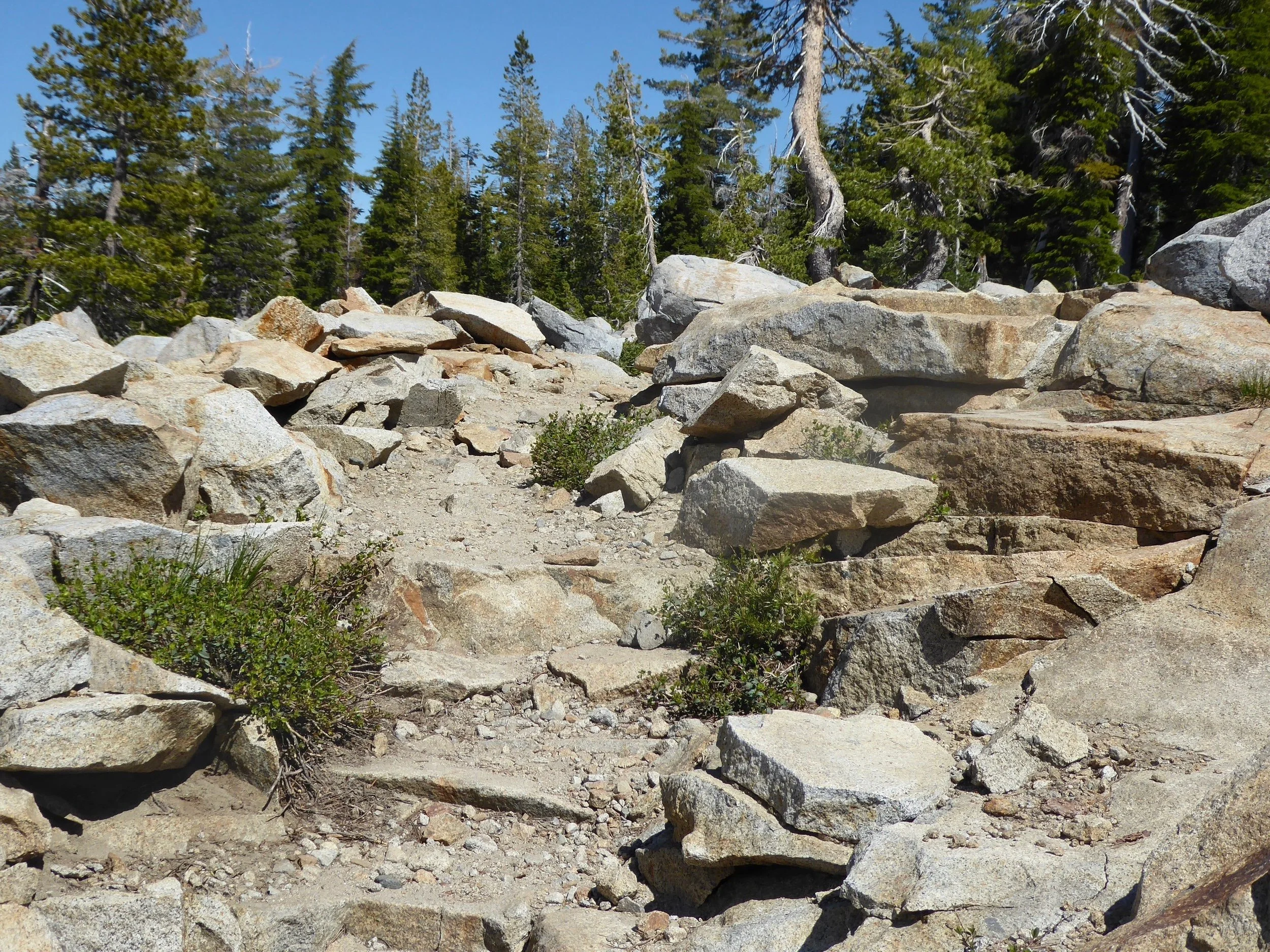 The rocky trail