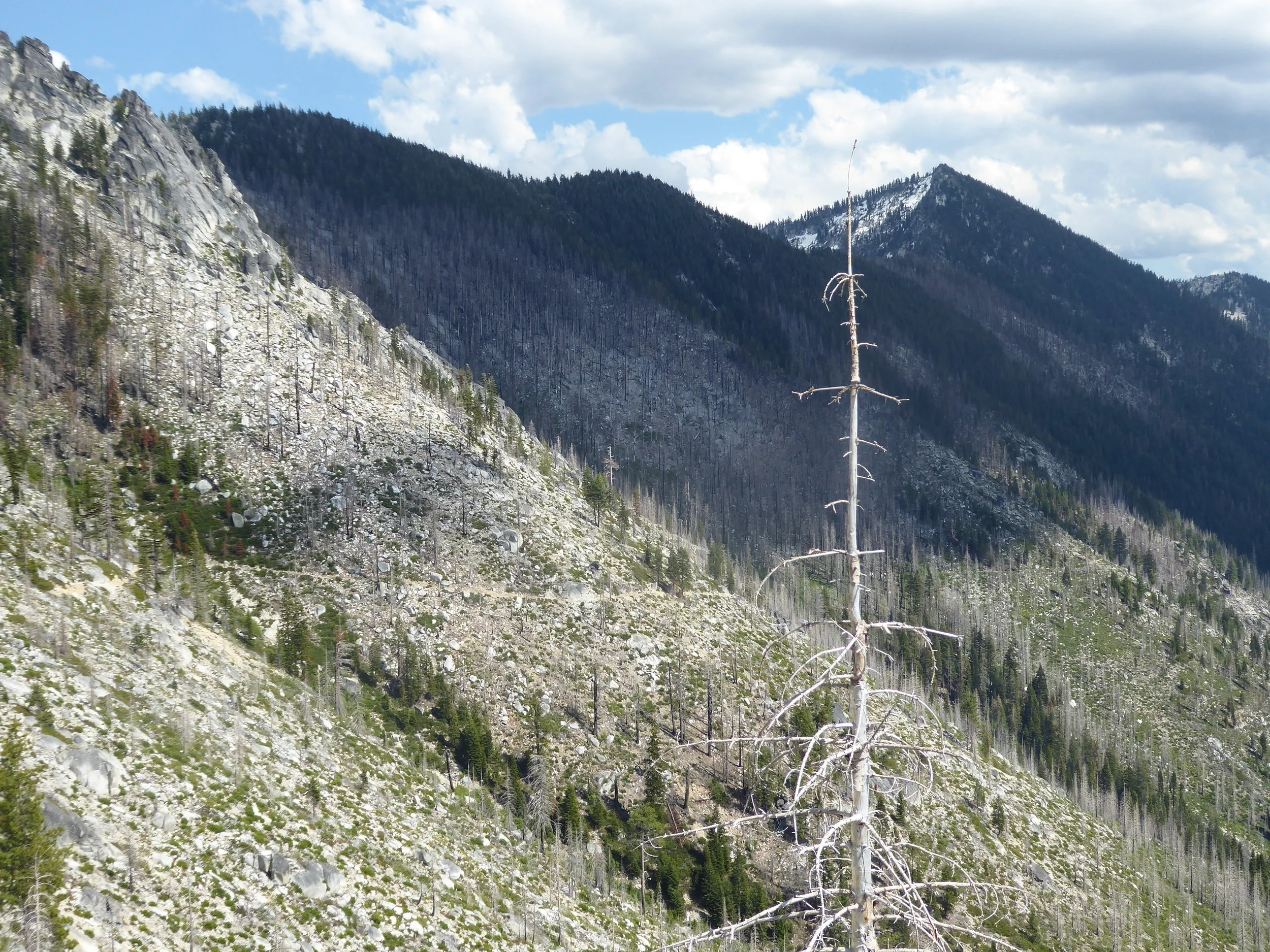 Check out the trail heading down the mountain.