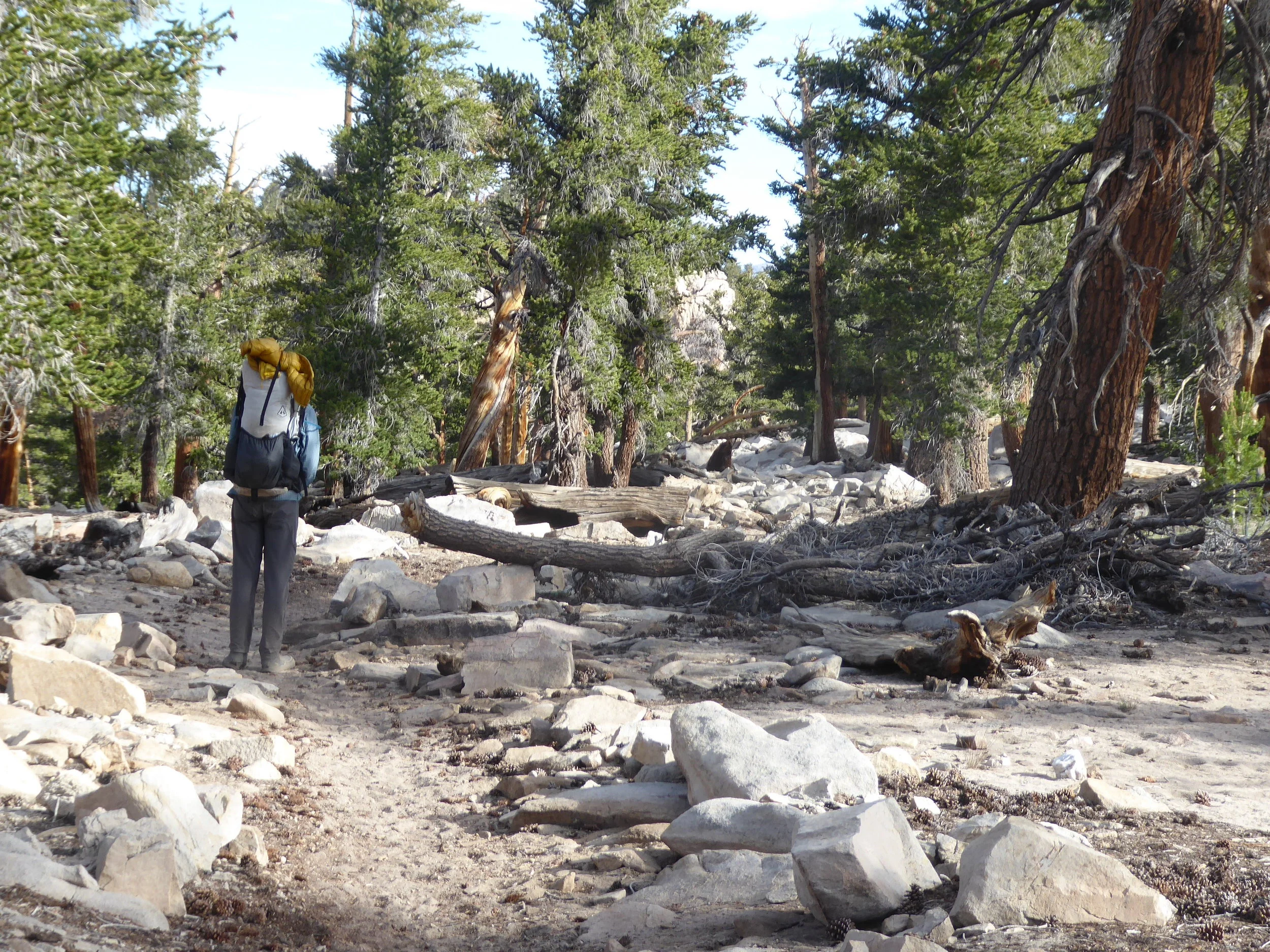 The trail alternates between going up and then there are some flat sections.