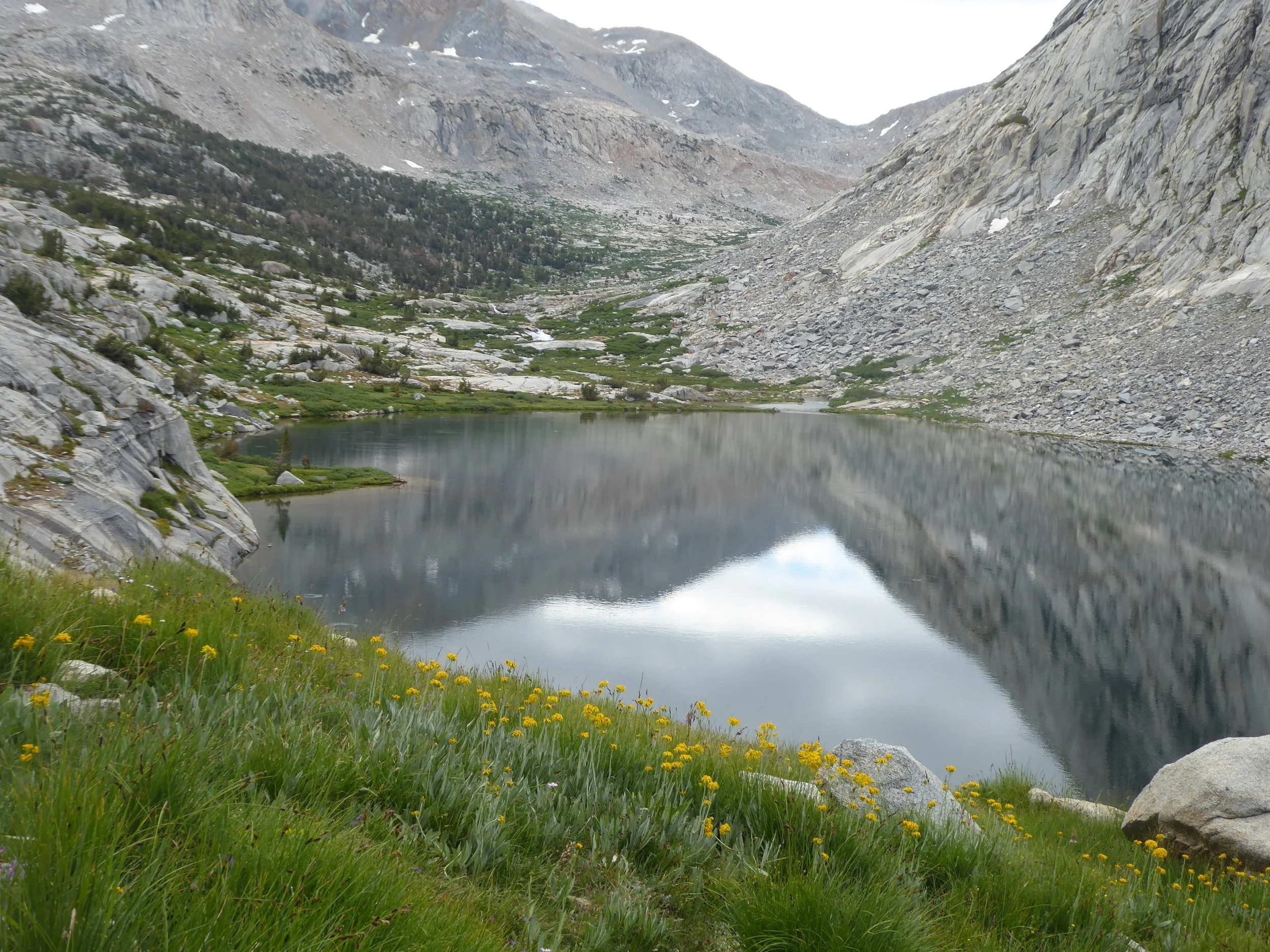 Not a bad place to be surrounded by beauty,