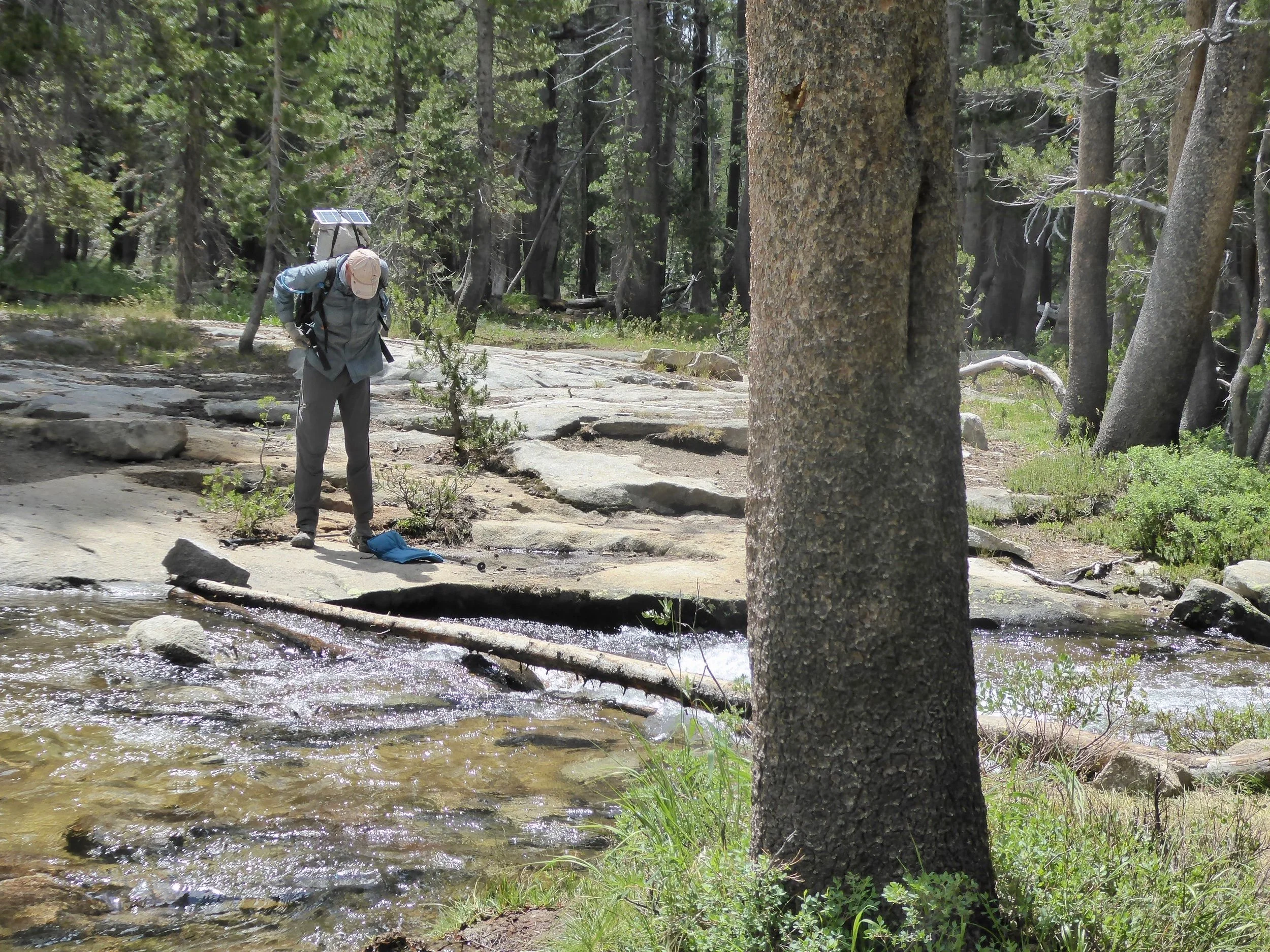 Don checks out a log