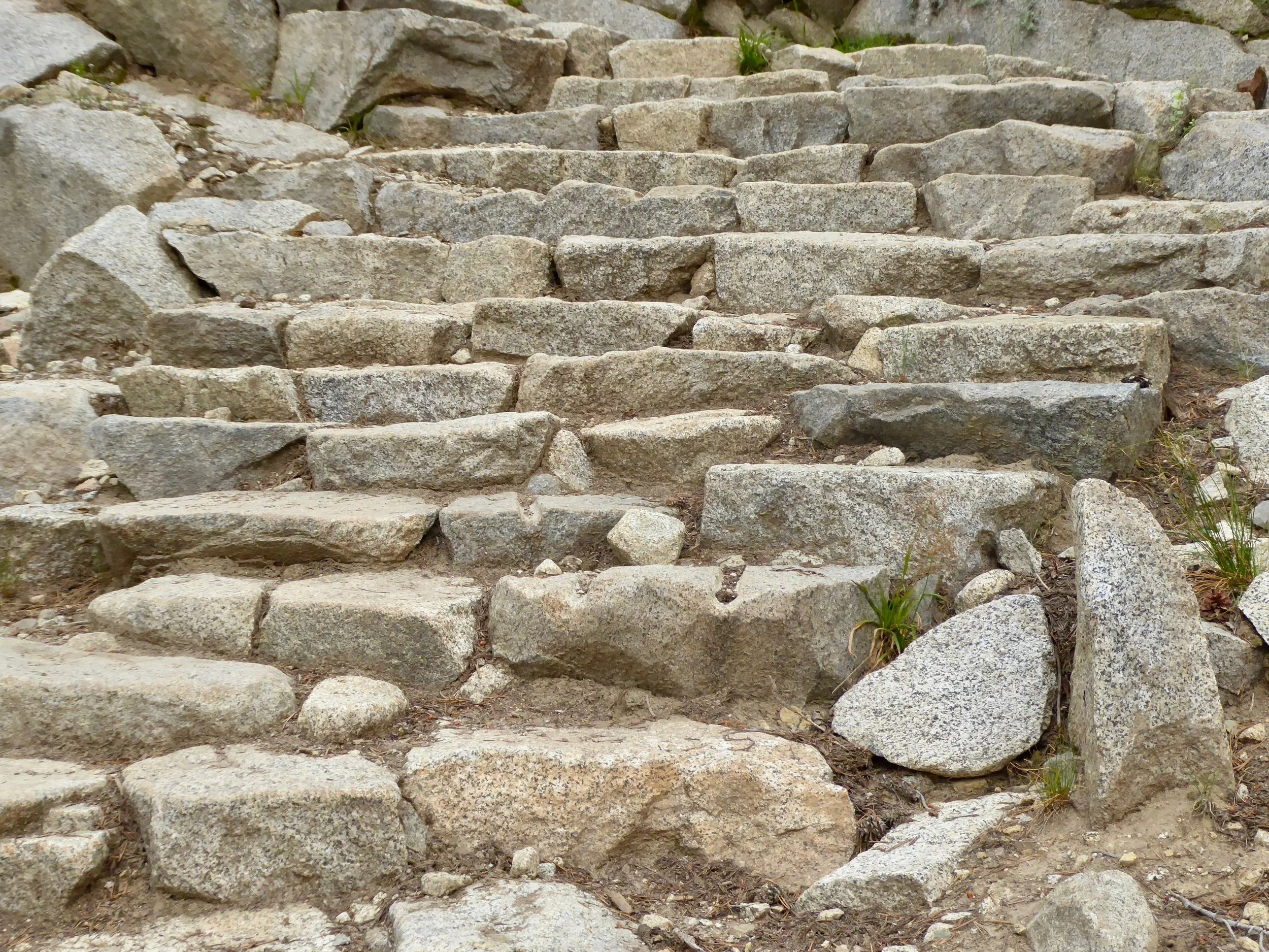 P1020191.jpg