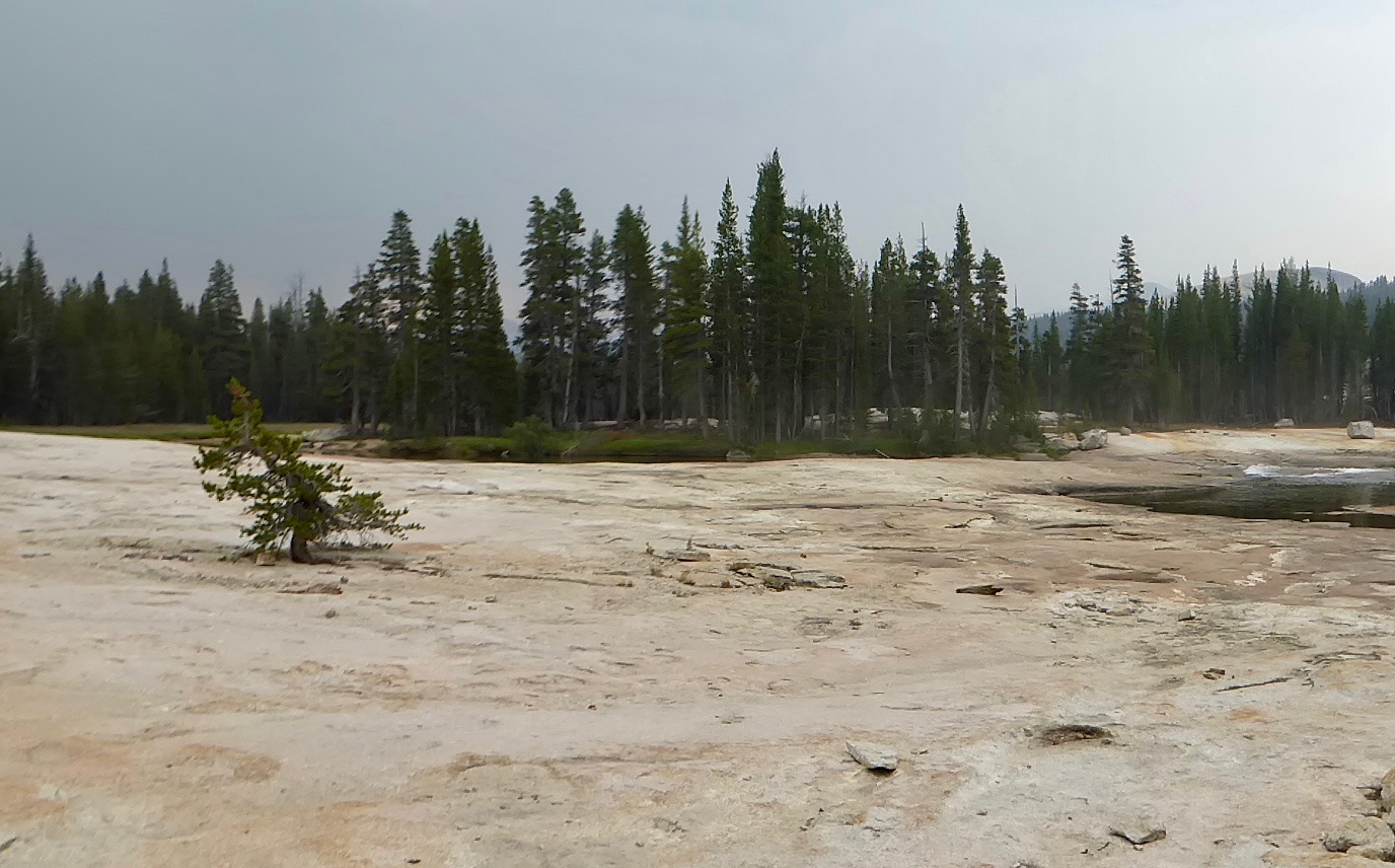 Somewhere here is the trail